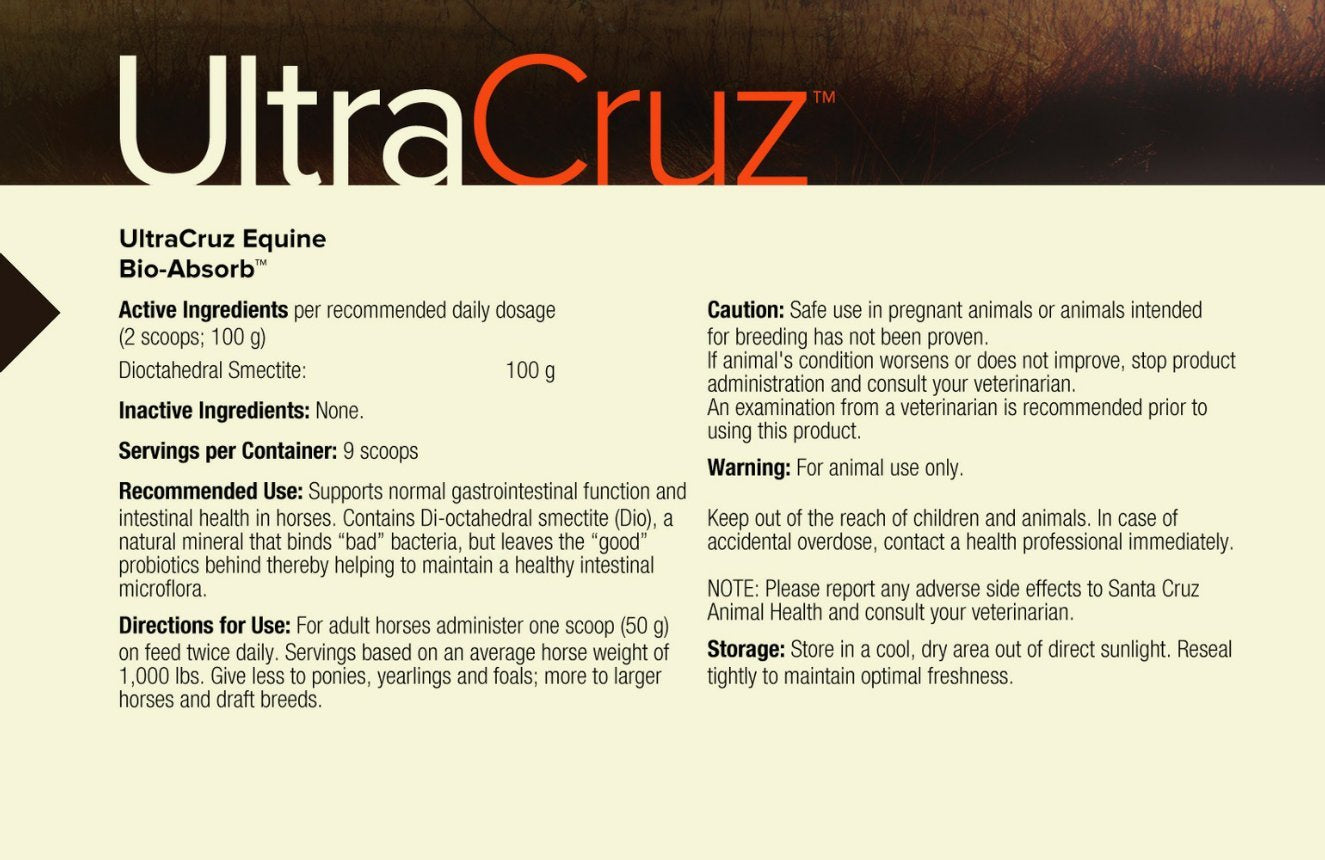 Horse Bio-Absorb Supplement Powder, 1 lb (4 Day Supply) by UltraCruz Equine