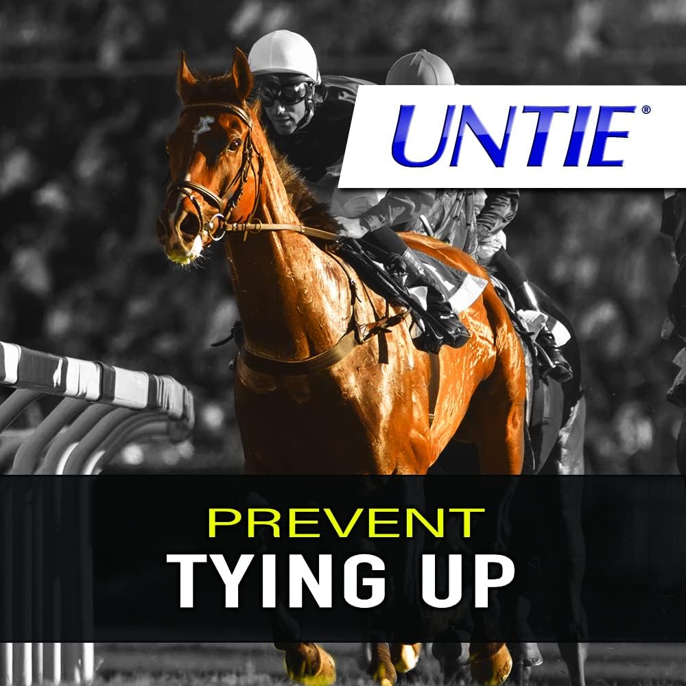 Horse Inflammatory, Muscle, and Joint Support Supplement - UNTIE - 100% Absorbable - 12 lbs.