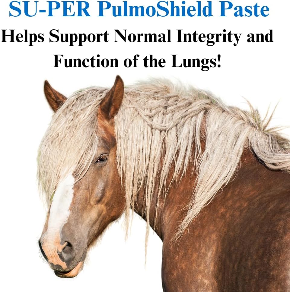 Horse Lung Support Paste - Promotes Healthy Respiratory Function - Horse Vitamins & Minerals - 30CC, (2 Pack)