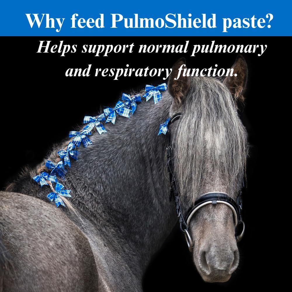 Horse Lung Support Paste - Promotes Healthy Respiratory Function - Horse Vitamins & Minerals - 30CC, (2 Pack)