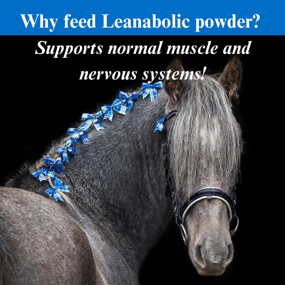 Horse Muscle Supplement for Training and Performance Support - Leanabolic Formula with Vitamins and Minerals - 4 Pound, (2 Pack)