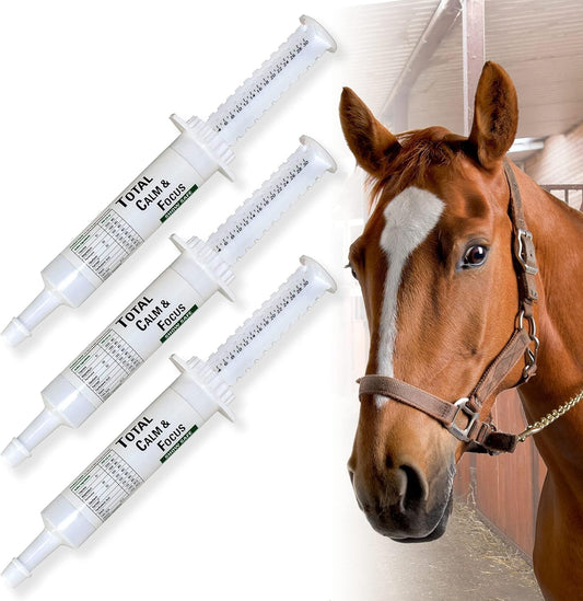 Horse Supplement for Mental Alertness & Calmness - Magnesium Formula for Show Performance - Equine Supplies - 3 Pack Syringe