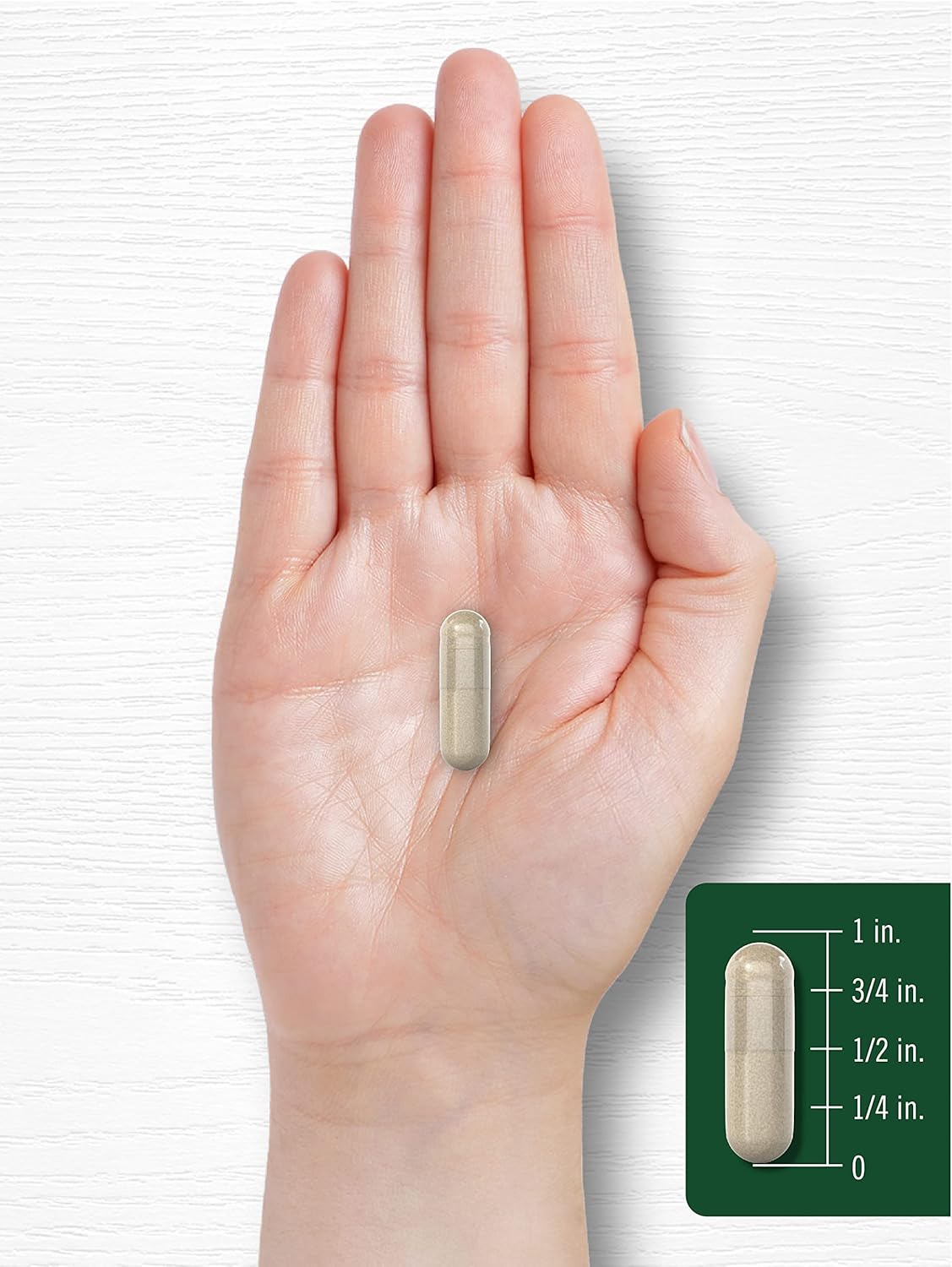 Horsetail Extract Silica Supplement Capsules | 200 Count | Non-GMO & Gluten Free by Carlyle