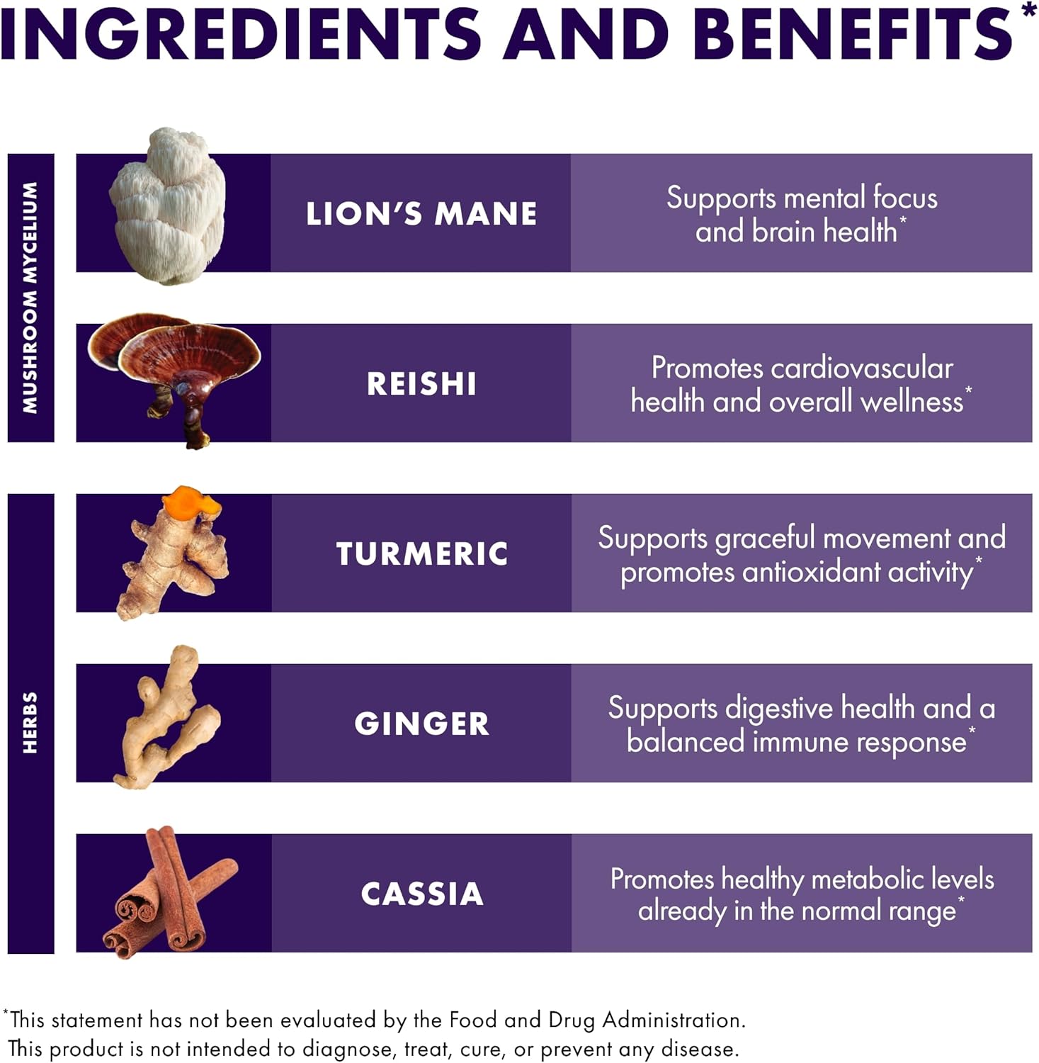 Host Defense MycoBotanicals Brain & Body Powder - Digestive & Immune Support with Lion's Mane & Reishi Mushroom - Memory & Focus Supplement