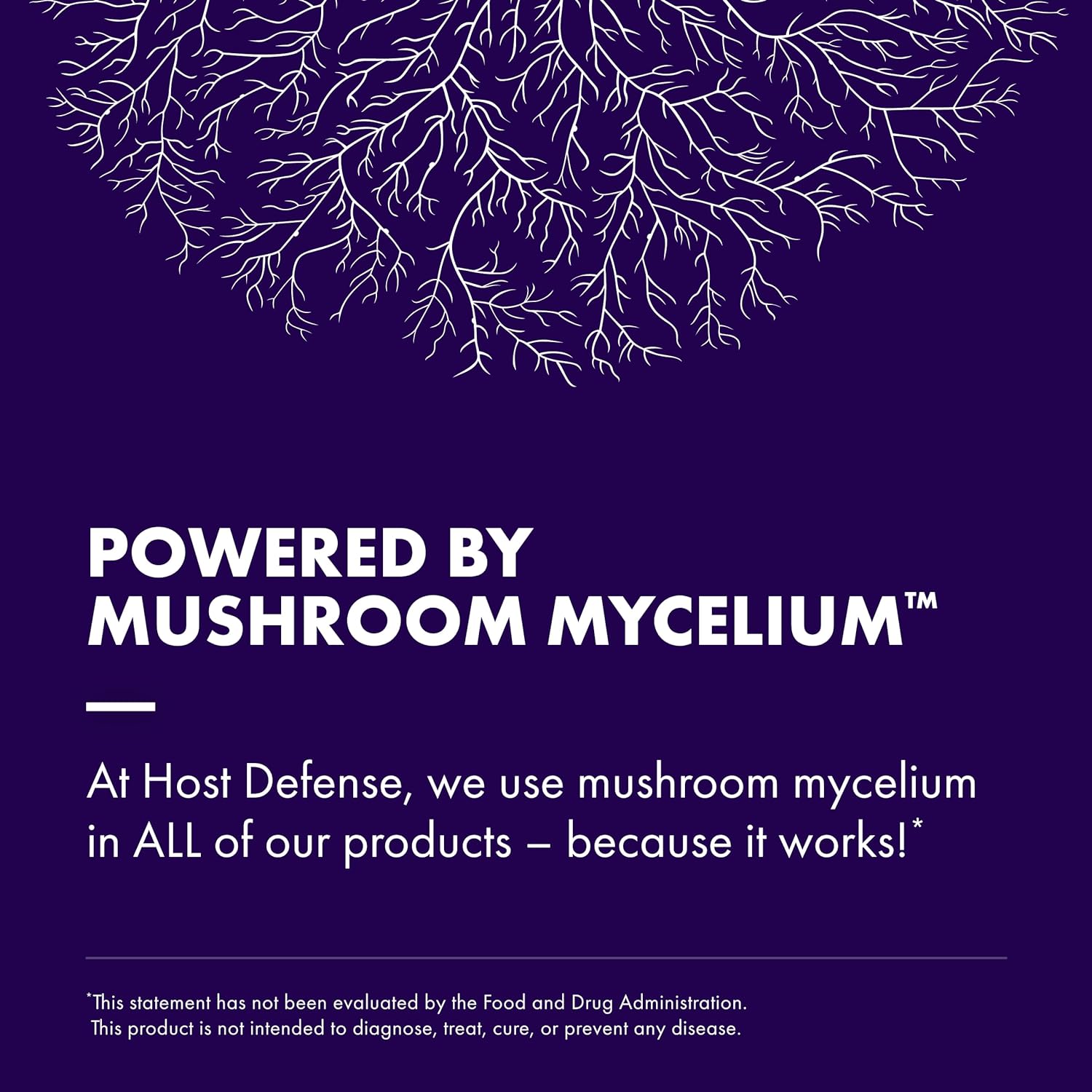 Host Defense MycoBotanicals Brain & Body Powder - Digestive & Immune Support with Lion's Mane & Reishi Mushroom - Memory & Focus Supplement