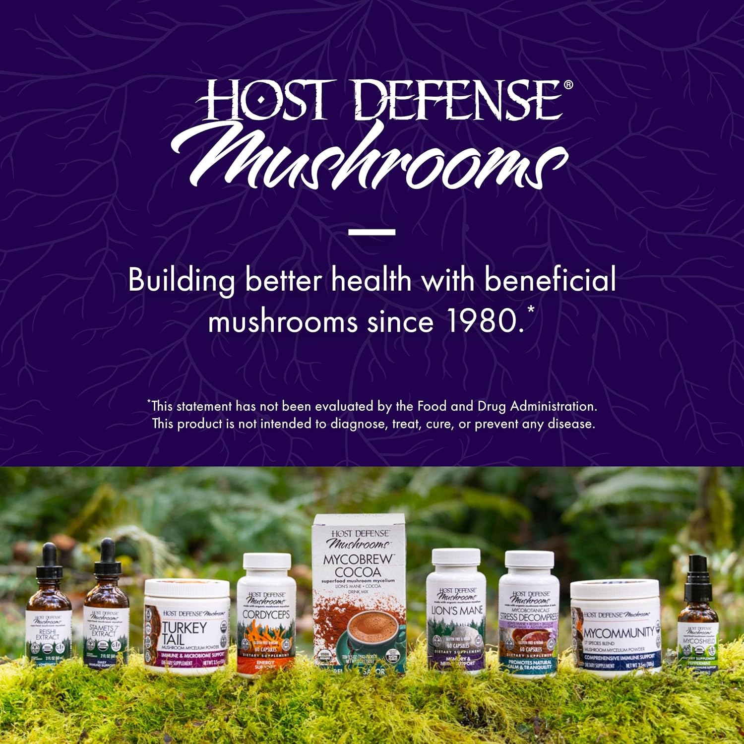 Host Defense MycoBotanicals Brain & Body Powder - Digestive & Immune Support with Lion's Mane & Reishi Mushroom - Memory & Focus Supplement