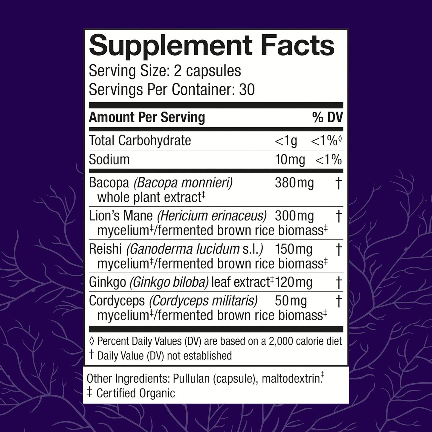 Host Defense MycoBotanicals Brain Support Capsules - Memory & Focus Supplement with Lion's Mane, Reishi & Cordyceps Mushroom - Herbal Brain Supplement - 60 Capsules