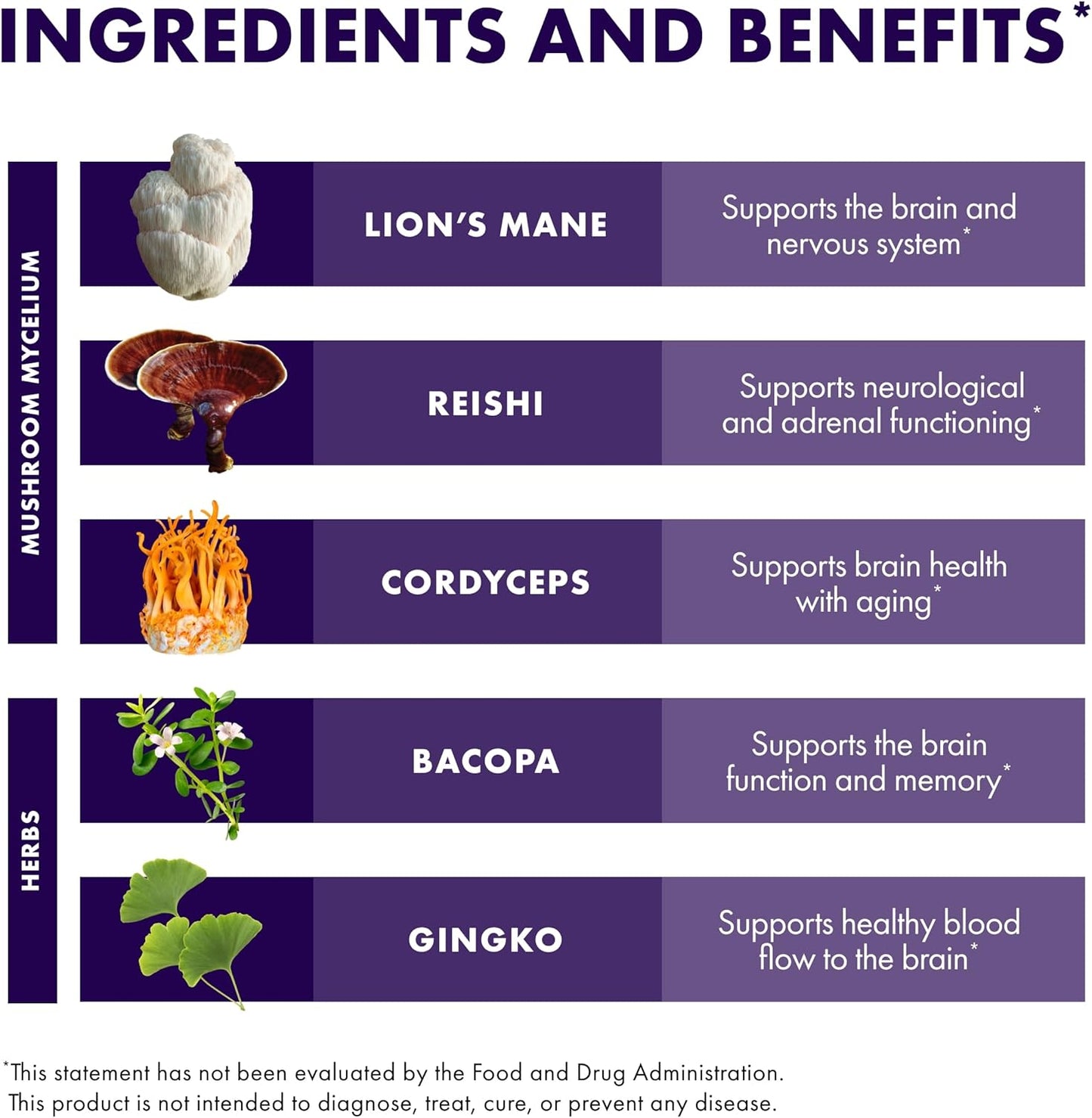 Host Defense MycoBotanicals Brain Support Capsules - Memory & Focus Supplement with Lion's Mane, Reishi & Cordyceps Mushroom - Herbal Brain Supplement - 60 Capsules