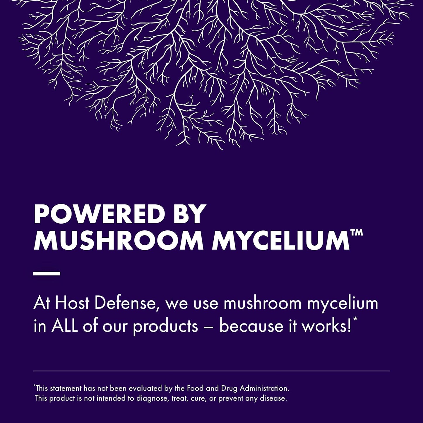Host Defense MycoBotanicals Brain Support Capsules - Memory & Focus Supplement with Lion's Mane, Reishi & Cordyceps Mushroom - Herbal Brain Supplement - 60 Capsules