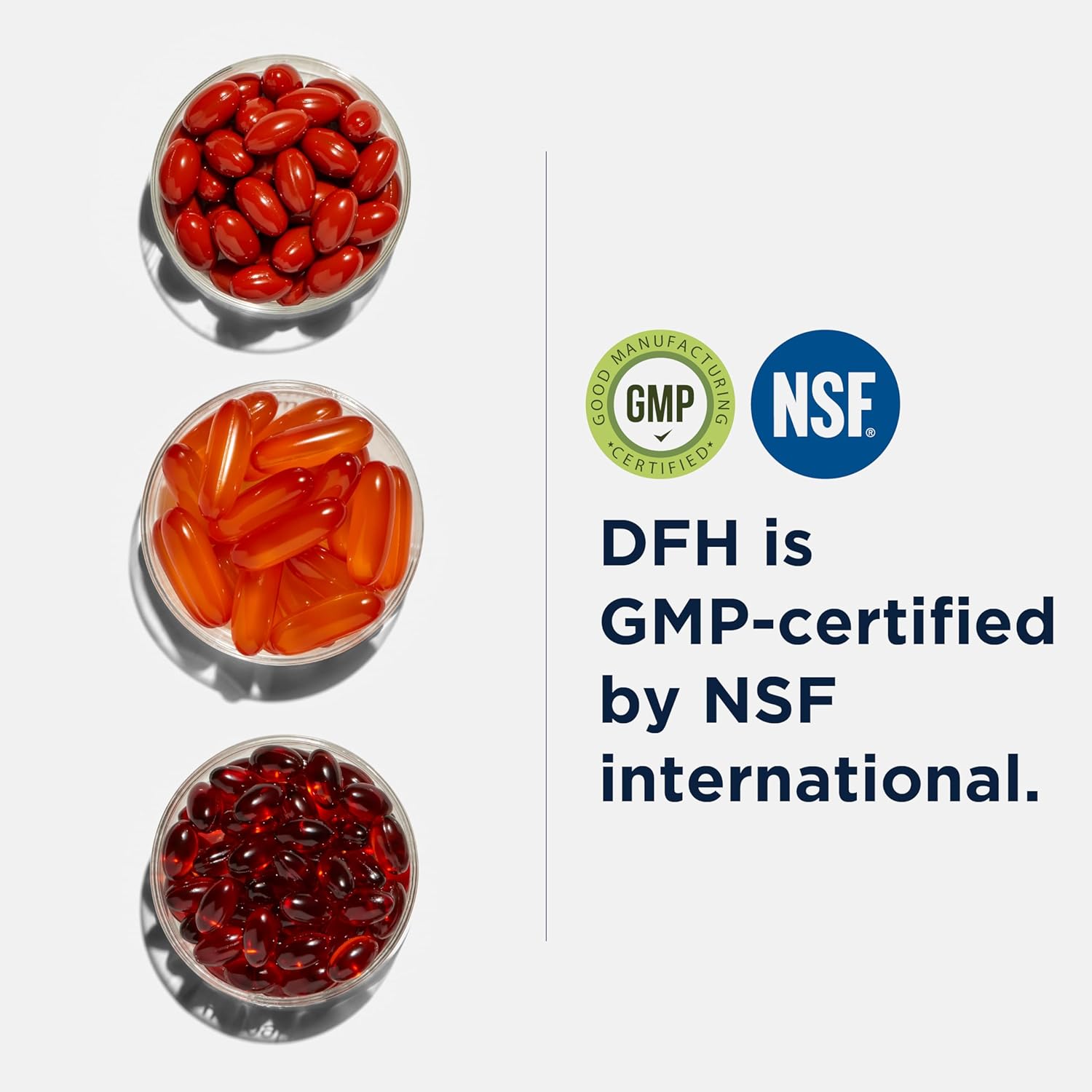 HTN Supreme Supplement - Cardiovascular Support with Bonito & Grape Seed Extract for Healthy Blood Pressure (120 Caps)