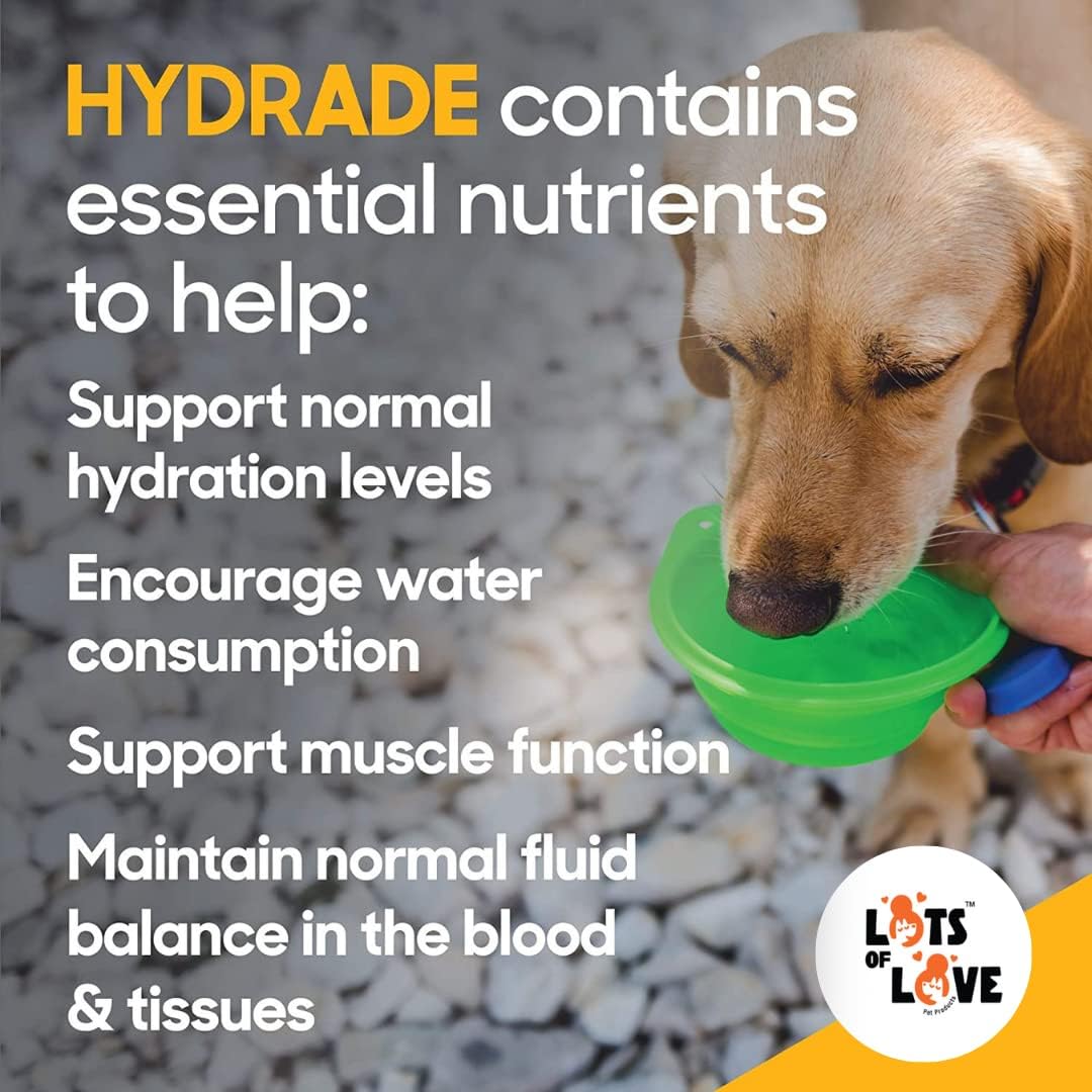 HydrADE Powder: Electrolytes for Pet Dehydration - Hydration Supplement for Dogs & Cats - 8 Oz