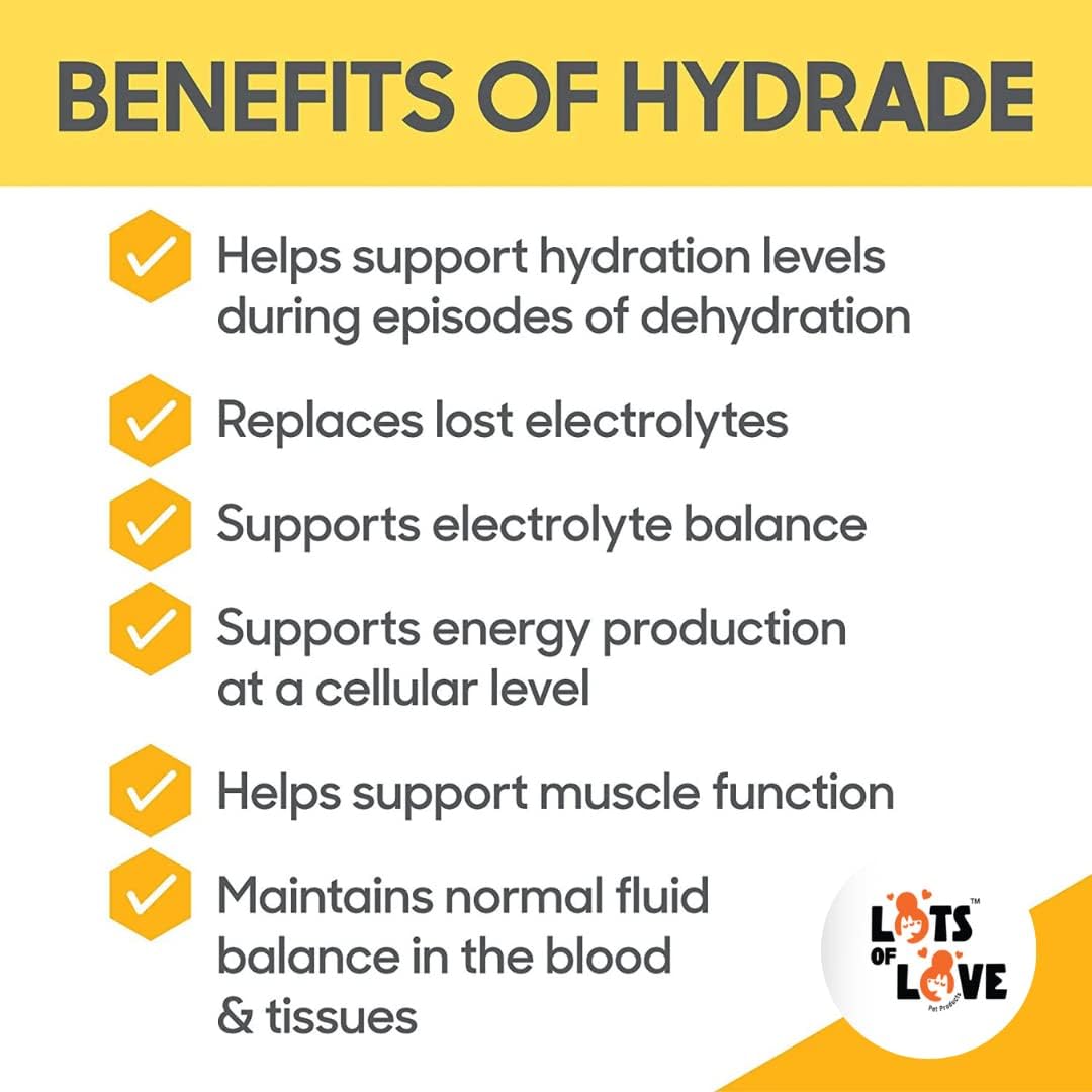 HydrADE Powder: Electrolytes for Pet Dehydration - Hydration Supplement for Dogs & Cats - 8 Oz