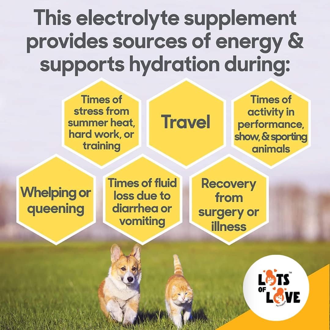 HydrADE Powder: Electrolytes for Pet Dehydration - Hydration Supplement for Dogs & Cats - 8 Oz