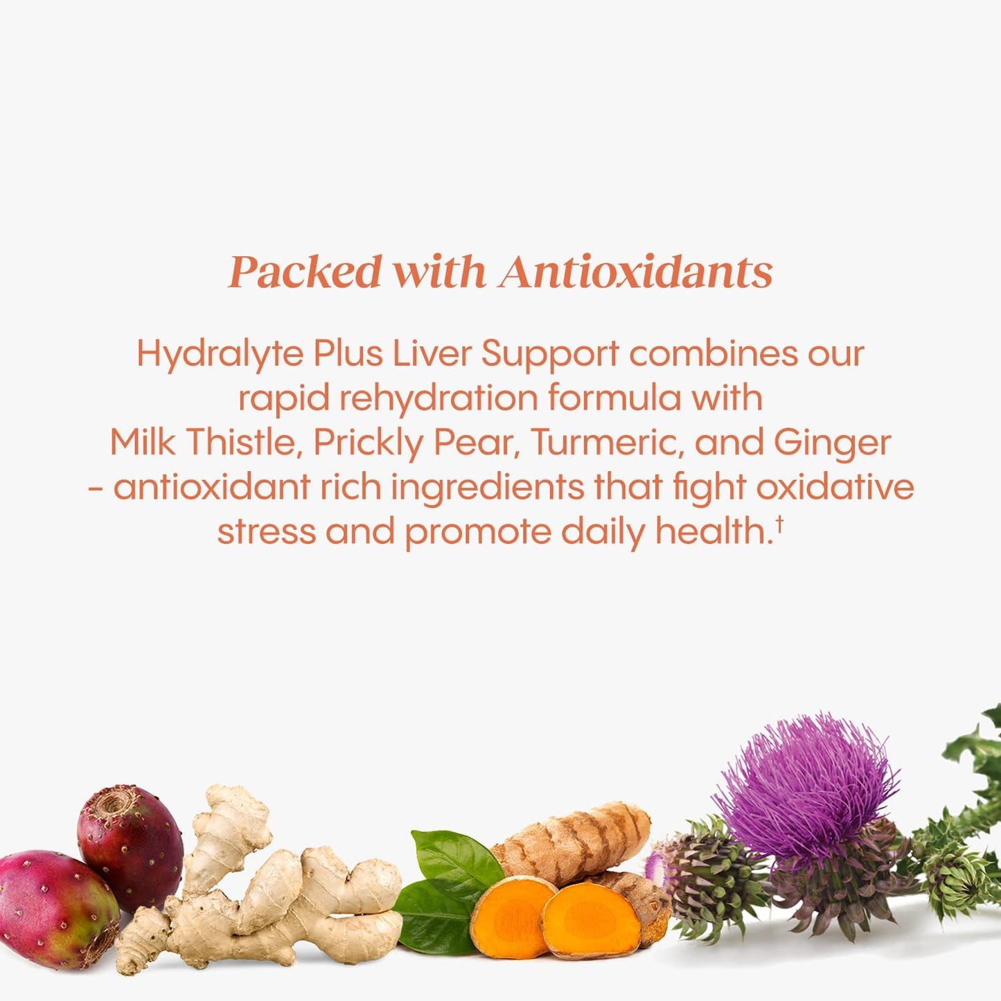 Hydralyte Liver Support + Electrolyte Mix with Milk Thistle & Turmeric for Rapid Rehydration (Blood Orange Ginger, 40 Servings)