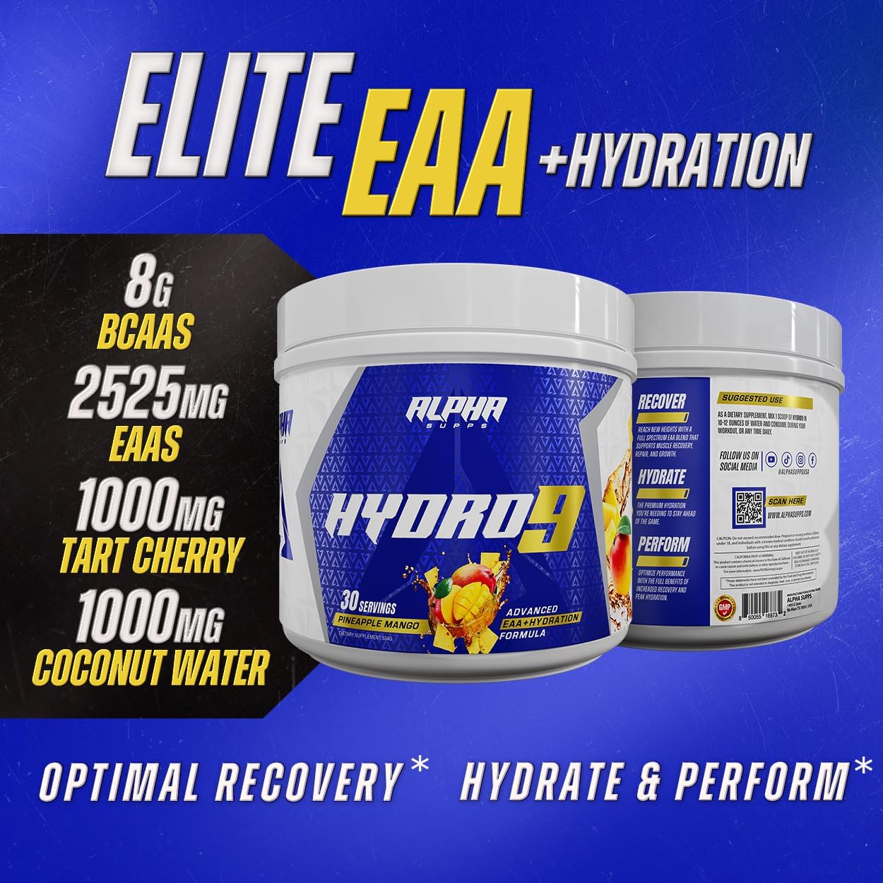 Hydro 9 Aminos Blueberry Lemonade: Essential Amino Acids & Electrolytes Powder with BCAAs - 30 Servings