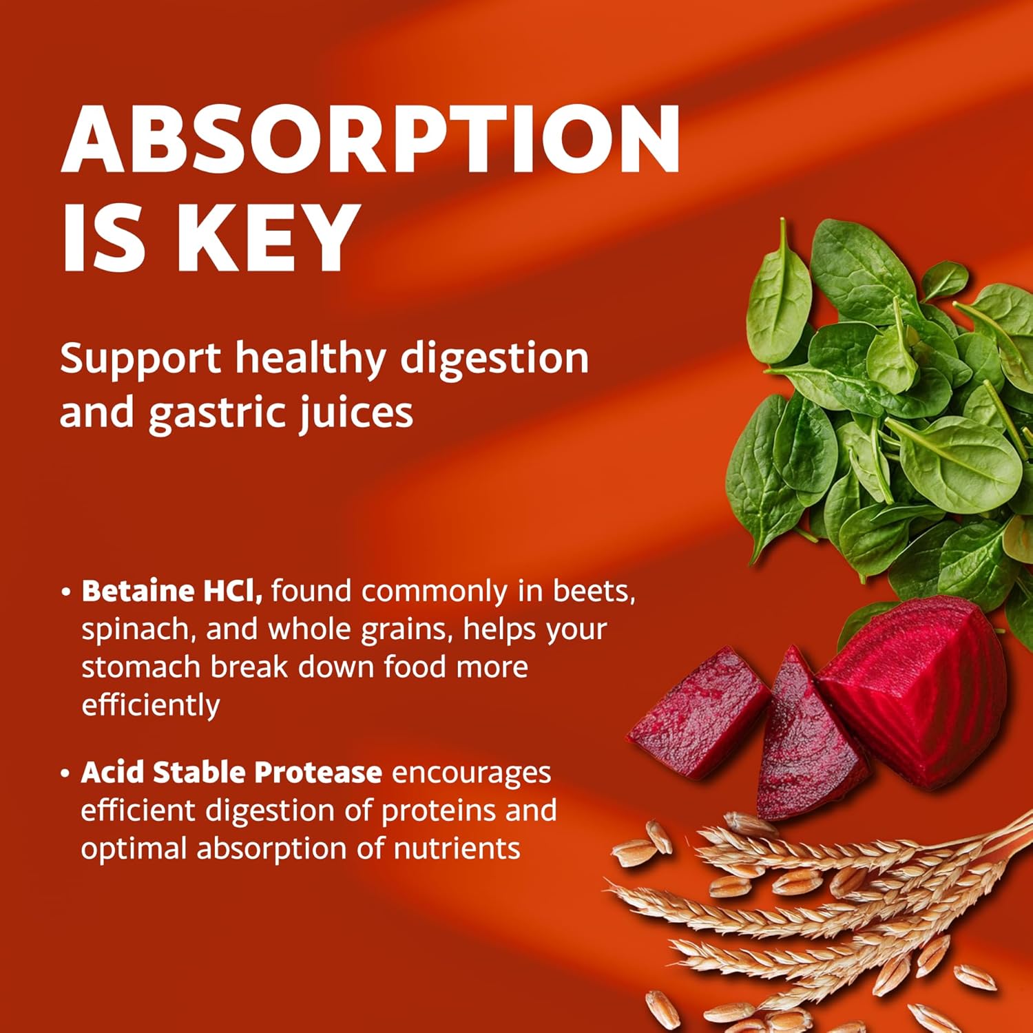 Hydrochloric Acid Betaine for Healthy Digestion - 200 Vegetarian Chlorocaps by Mt. Angel Vitamins