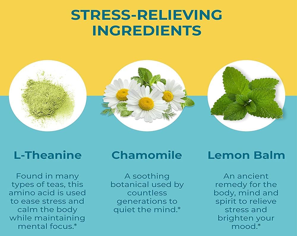Hyland's Stress Busters Gummies: Vegan Calm and Focus Supplement with L-Theanine, Chamomile, and Lemon Balm - 60 Gummies