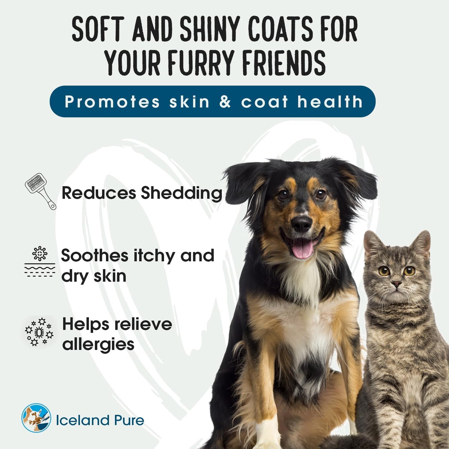 Iceland Pure Sardine Anchovy Oil for Dogs & Cats | 1296mg Omega | Unscented Pharmaceutical Grade | BPA-Free Bottle | Pump Dispenser | 17 OZ