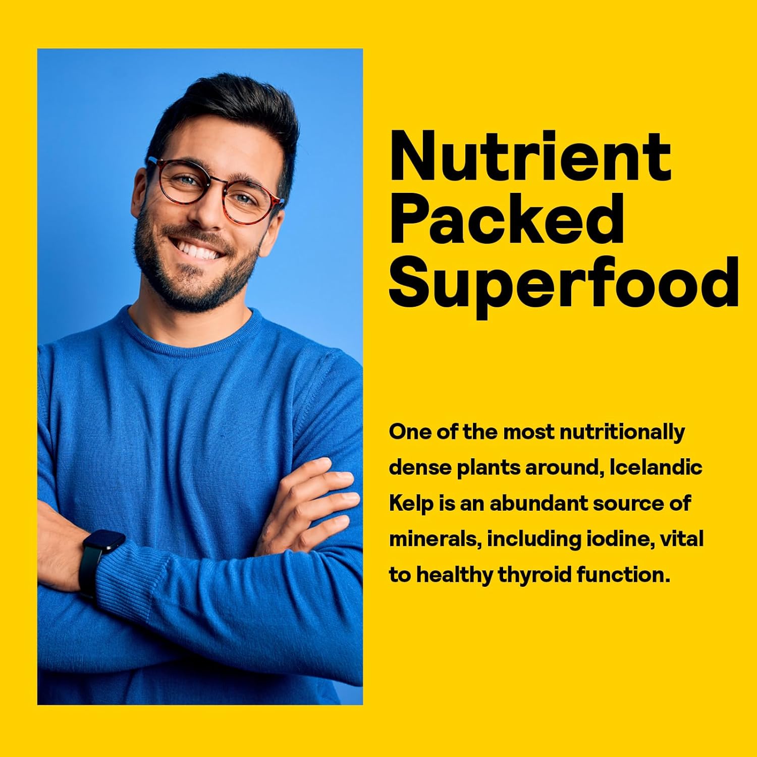 Icelandic Kelp 41mg Tablets - Iodine Supplement for Thyroid Support - Gluten-Free & Non-GMO Green Superfood - 500 Tablets, 60-Day Guarantee