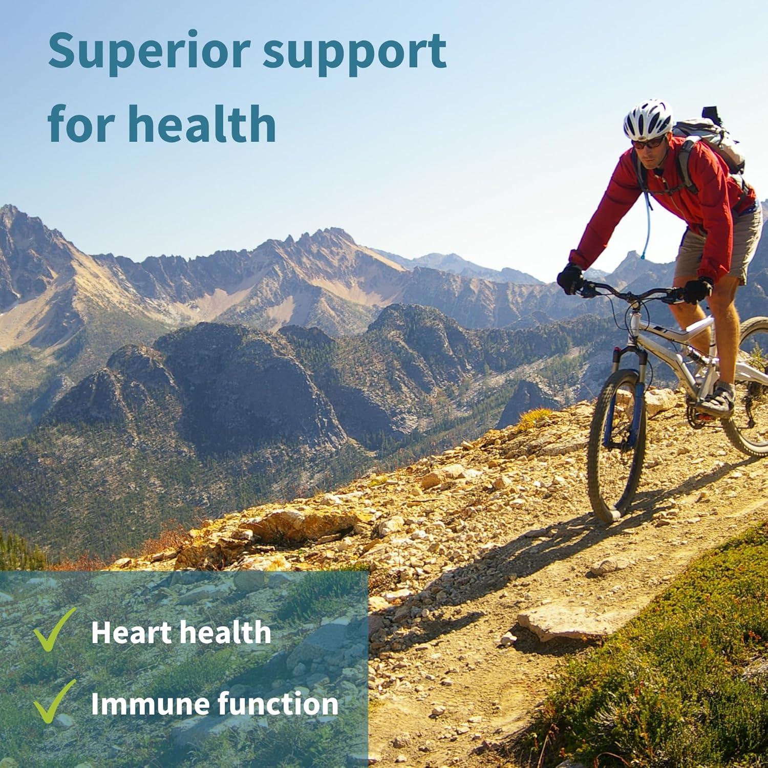 Igennus Advanced Omega-3 Fish Oil with Vitamin D3, 1-a-Day Softgels, High EPA & DHA, rTG Triglyceride Form, Non-GMO - 60 Count