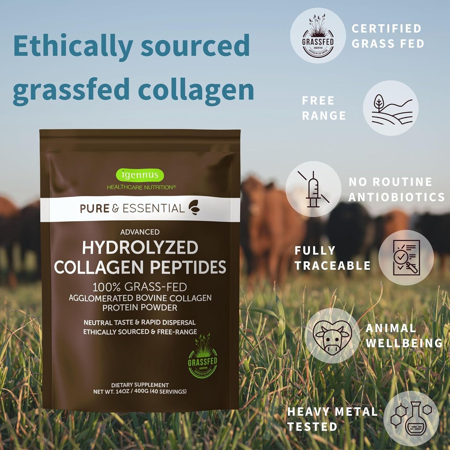 Igennus Healthcare Nutrition Bundle: Pharmepa Restore & Advanced Collagen Peptides - 1000mg EPA Omega-3 Fish Oil & Grass Fed Bovine Collagen Powder