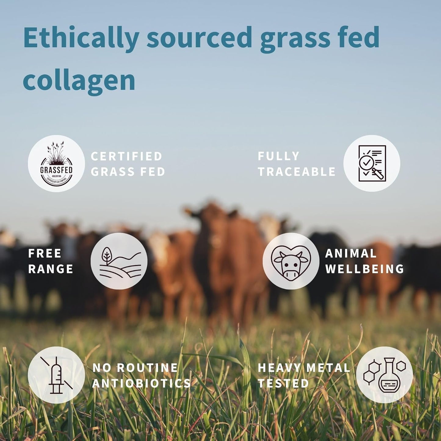 Igennus Hydrolyzed Bovine Collagen Protein Powder - Grass Fed, Types 1, 2 & 3, Non-GMO - 4 x 40 Servings