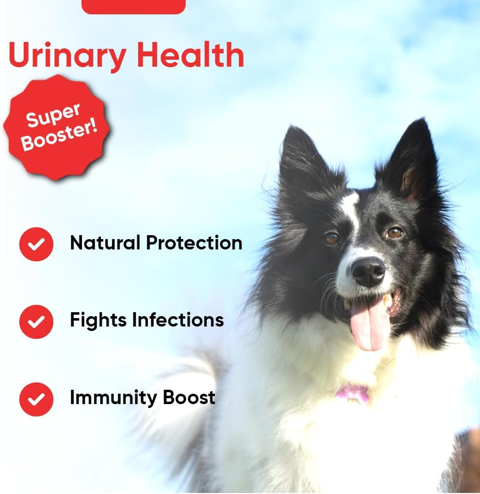 iHeartDogs Cranberry & D-Mannose Blend for Dog's Urinary Health - Supports Bladder Strength & UTI Prevention