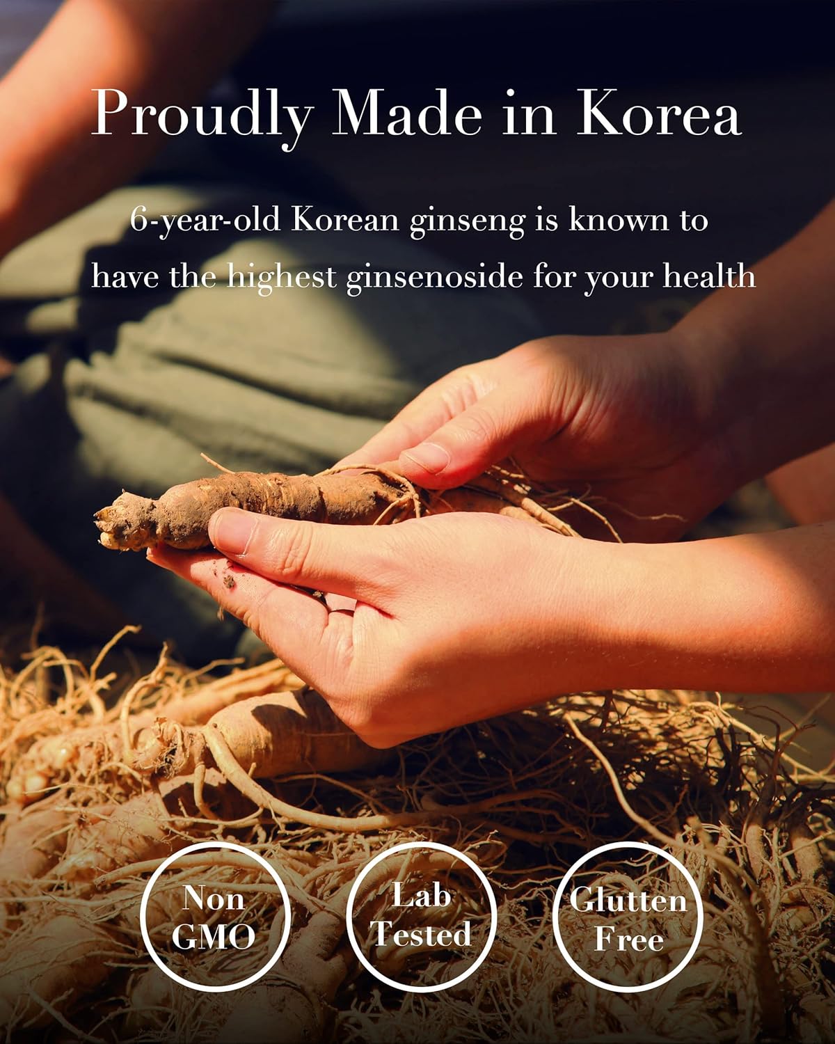 ILHWA Korean Ginseng Extract - 1.76 oz Concentrated Pack of 3 - Highest Quality Ginseng Supplement