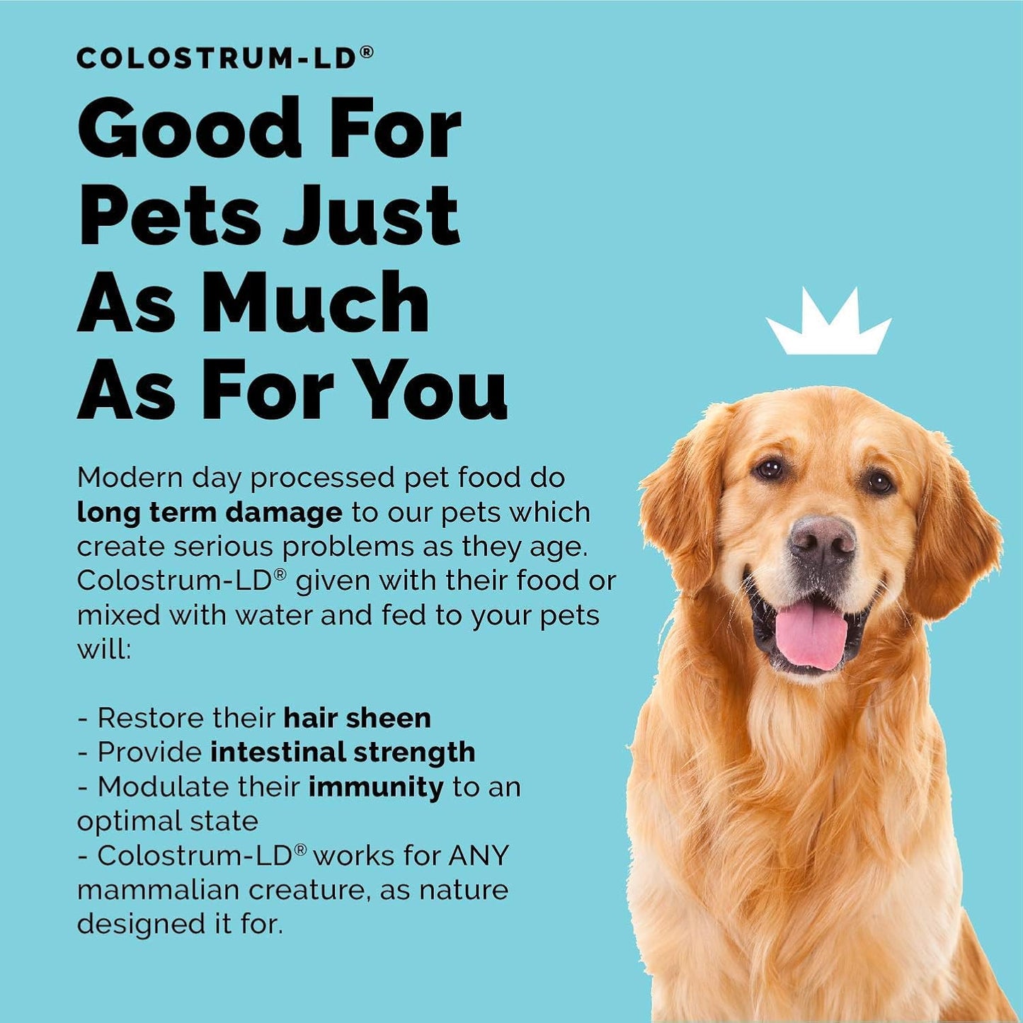 Immune-Boosting Colostrum-LD and Vitamin C Bundle - Support Gut Health and Immunity with Rosehips and Bioflavonoids - 94 Days Supply