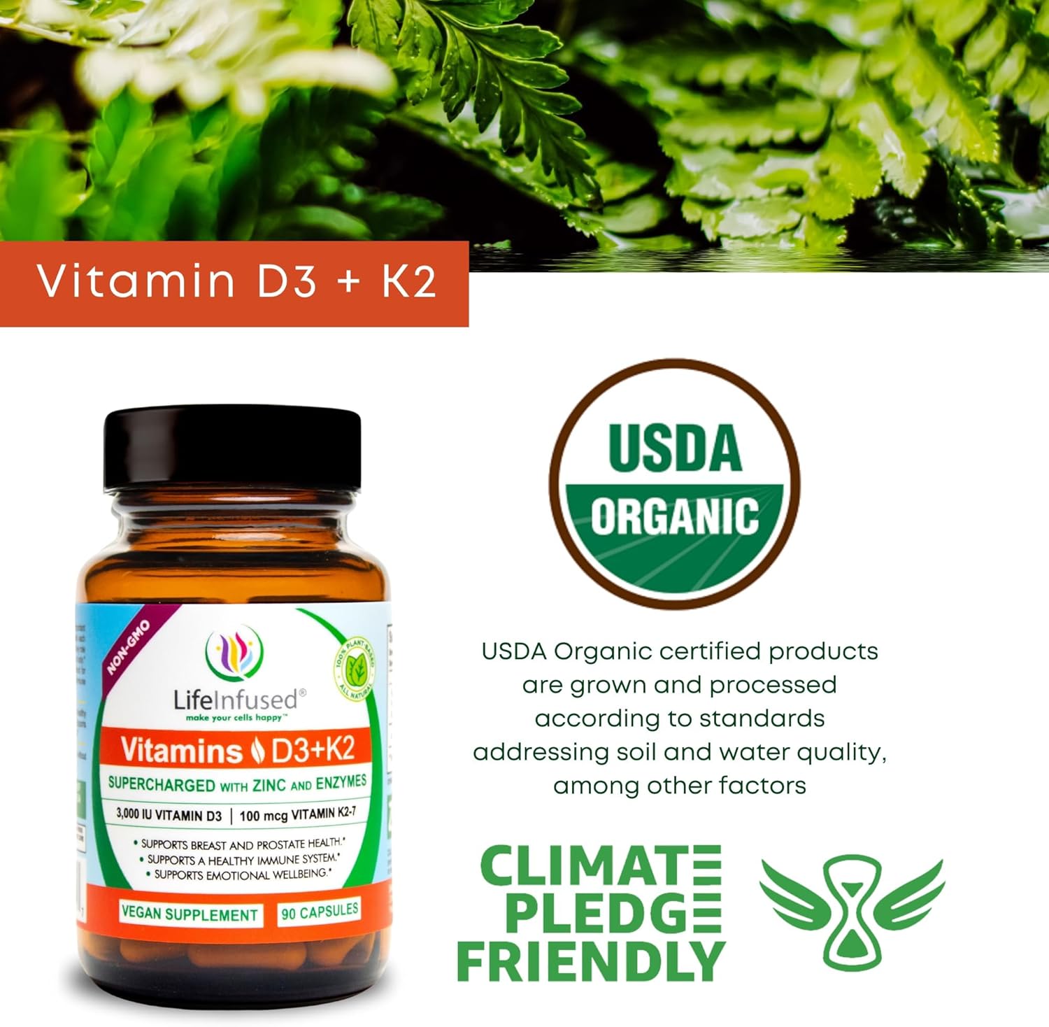 Immune Boosting Vitamin D3 + K2 with Zinc & Enzymes for Bone & Emotional Health - 90 Capsules