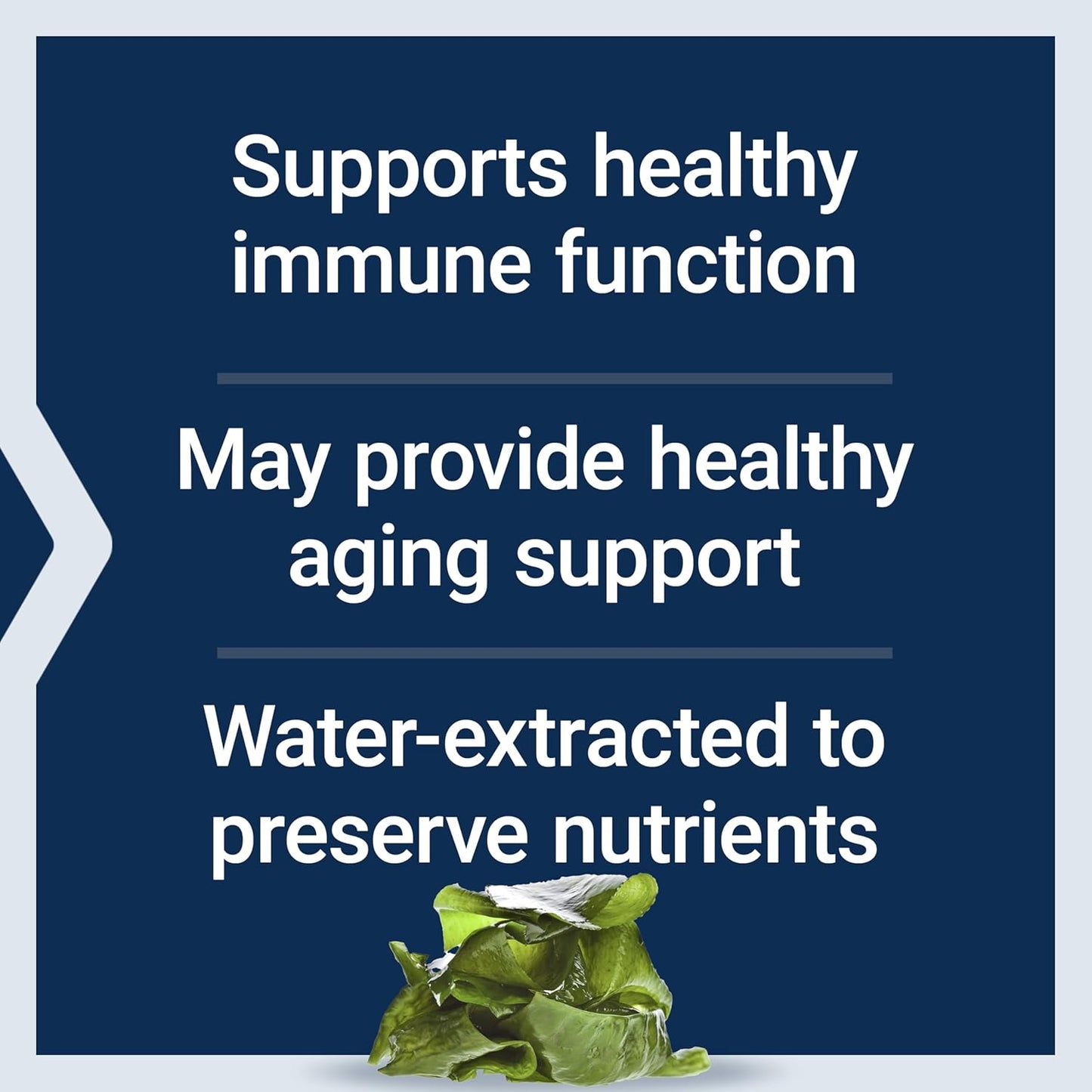 Immune Function Support: Life Extension Optimized Fucoidan with Maritech® 926, 60 Capsules, Gluten-Free, Non-GMO, Vegetarian