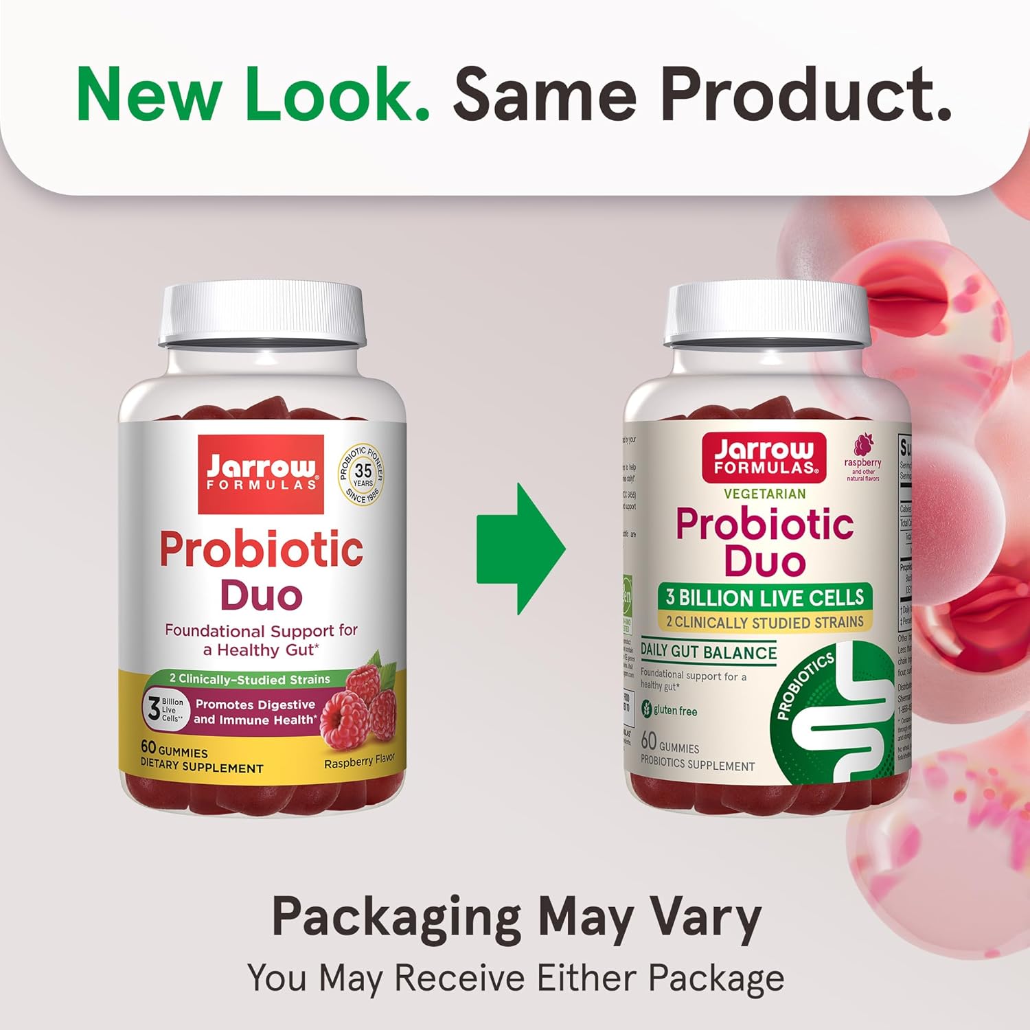 Immune Health & Digestive Support Probiotic Gummies - 60 Count, 3 Billion Live Cells, Raspberry Flavor - Jarrow Formulas®