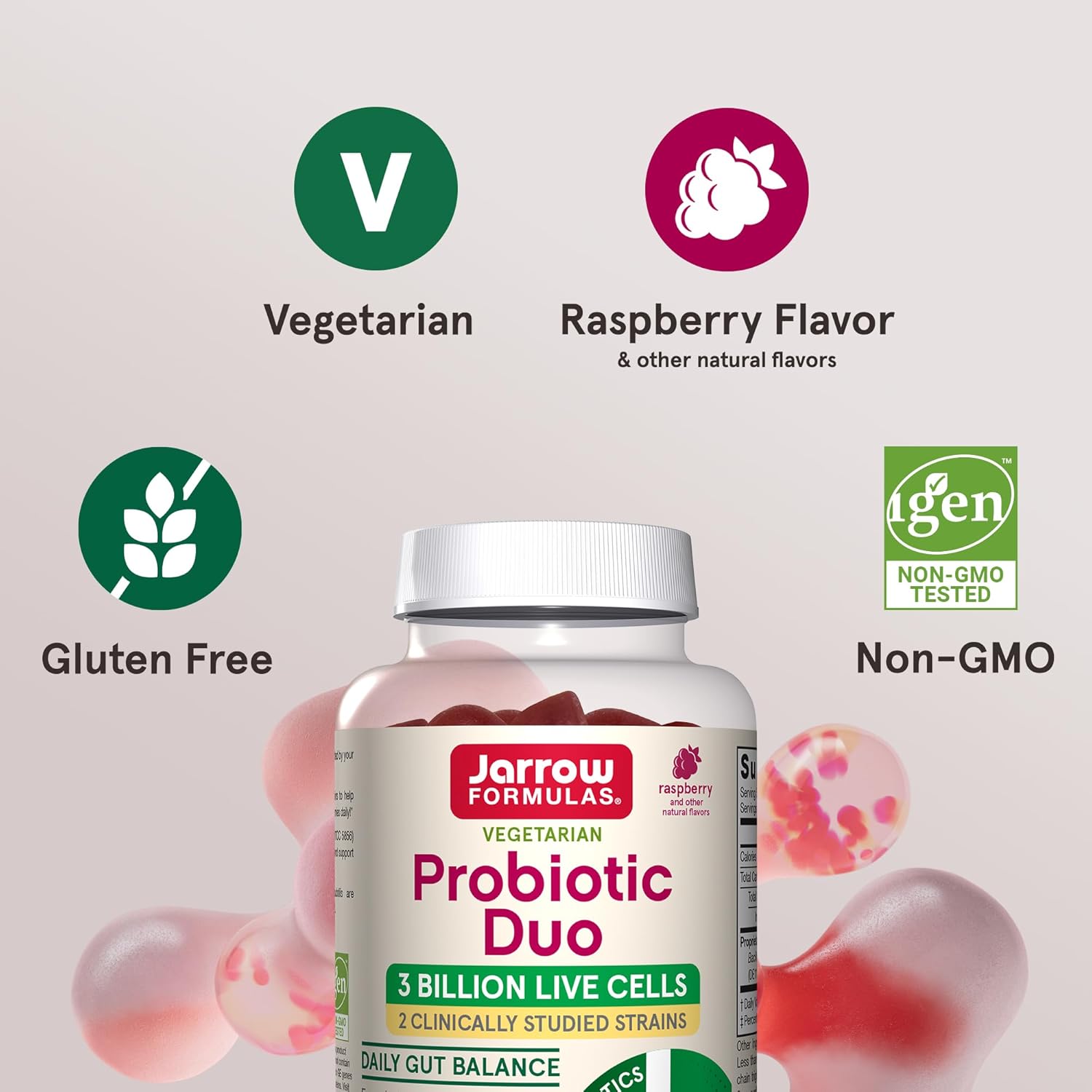 Immune Health & Digestive Support Probiotic Gummies - 60 Count, 3 Billion Live Cells, Raspberry Flavor - Jarrow Formulas®