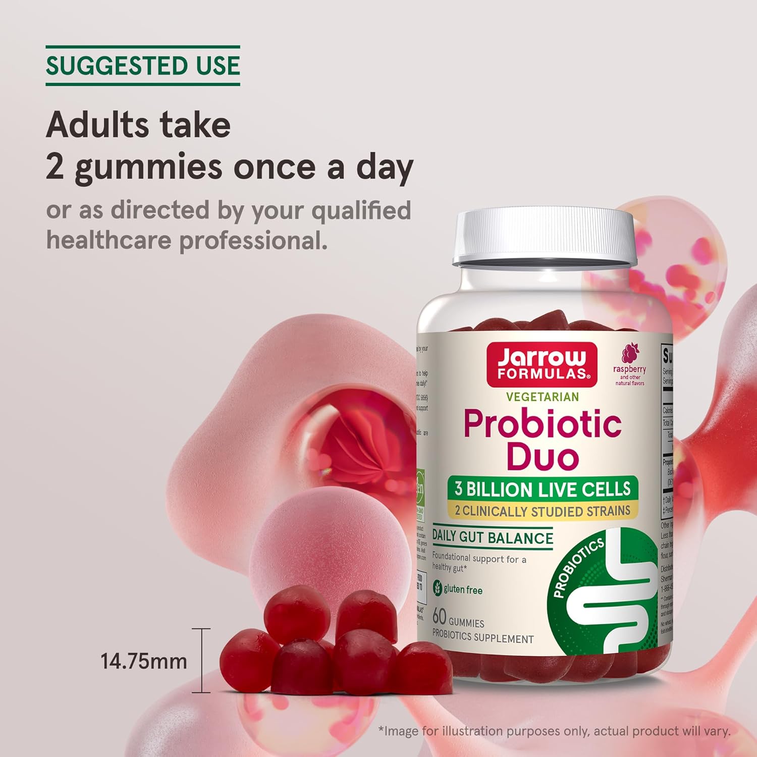 Immune Health & Digestive Support Probiotic Gummies - 60 Count, 3 Billion Live Cells, Raspberry Flavor - Jarrow Formulas®