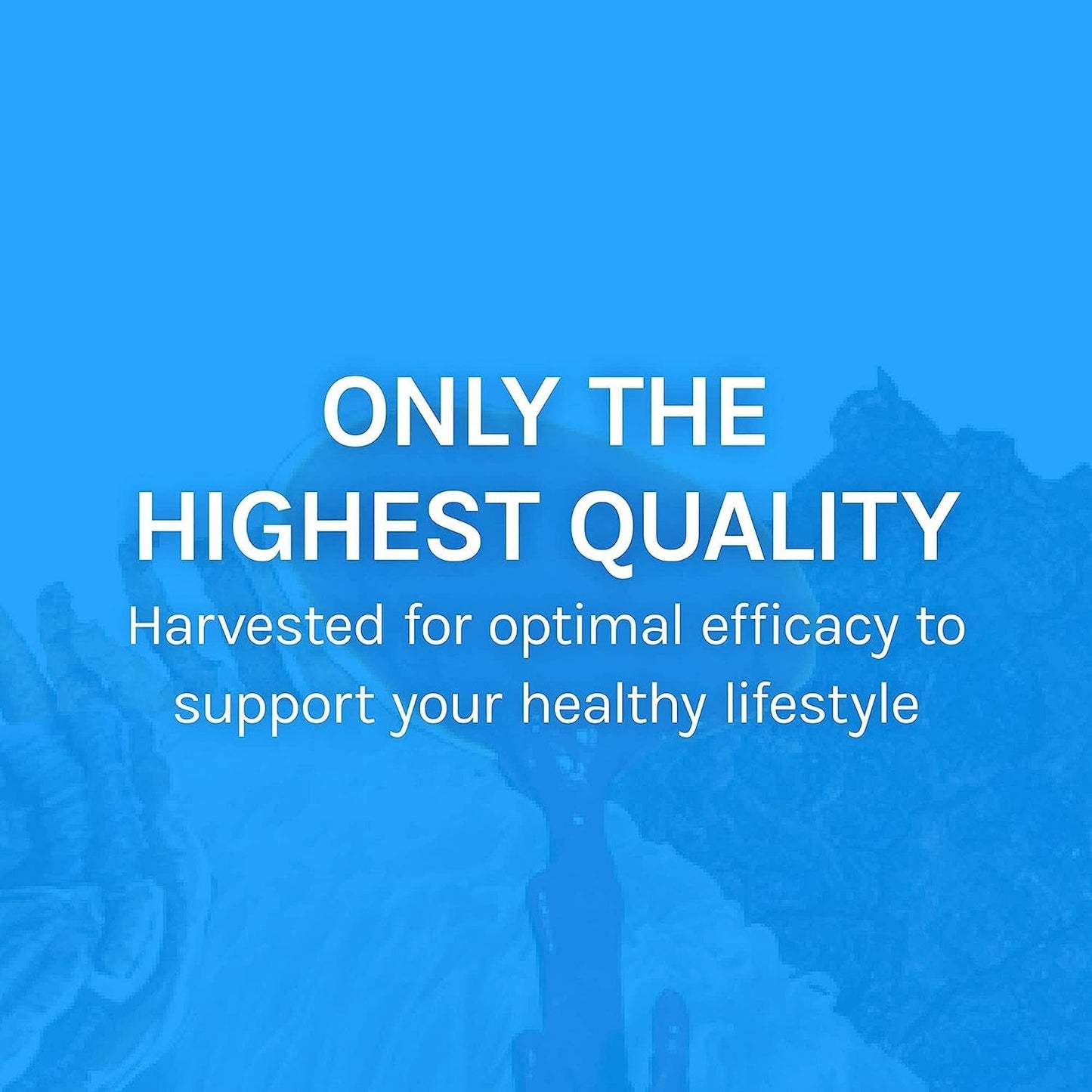 Immune & Respiratory Support Mushroom Supplement - Herbal Lung Health with Chaga, Reishi, Cordyceps - 60 Capsules