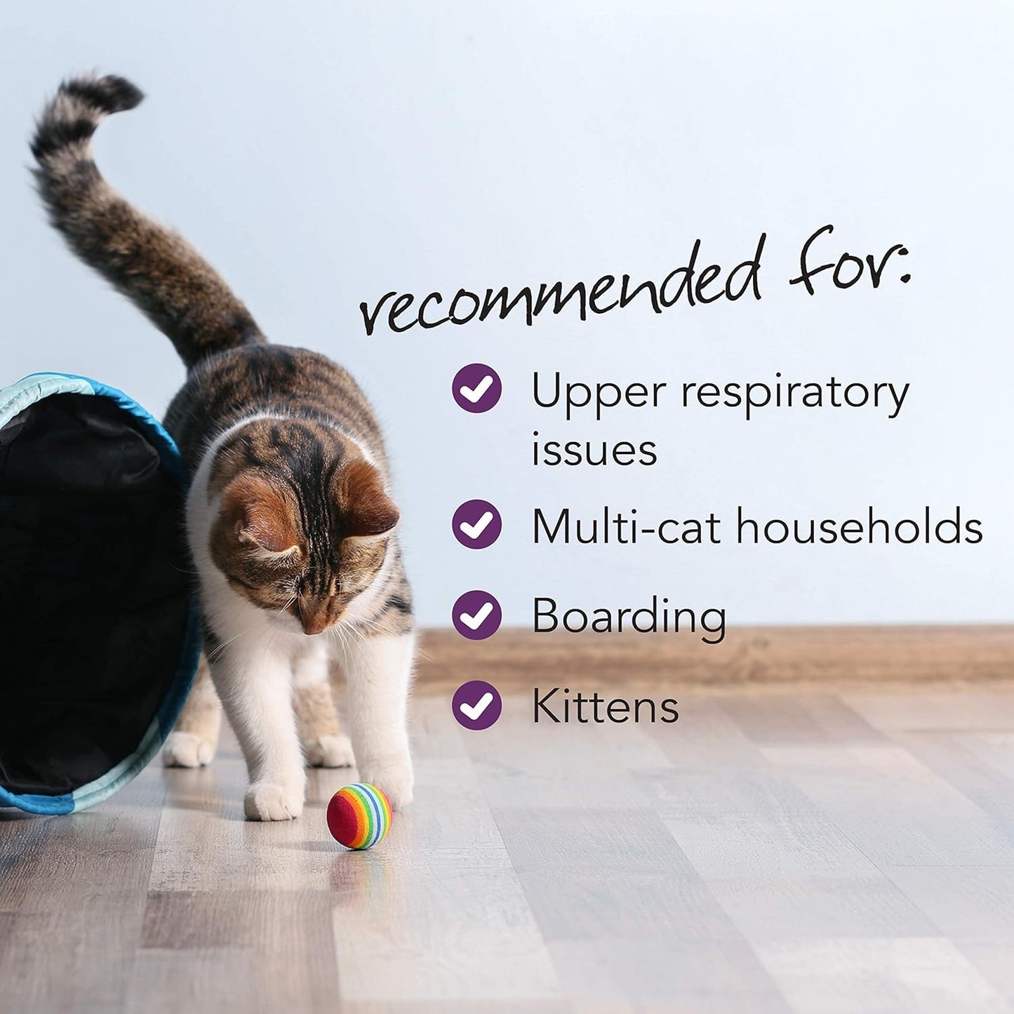 Immune Support Cat Supplement: VetriScience Vetri Lysine Plus Chews - 120 Count with L-Lysine and DMG for Respiratory Health