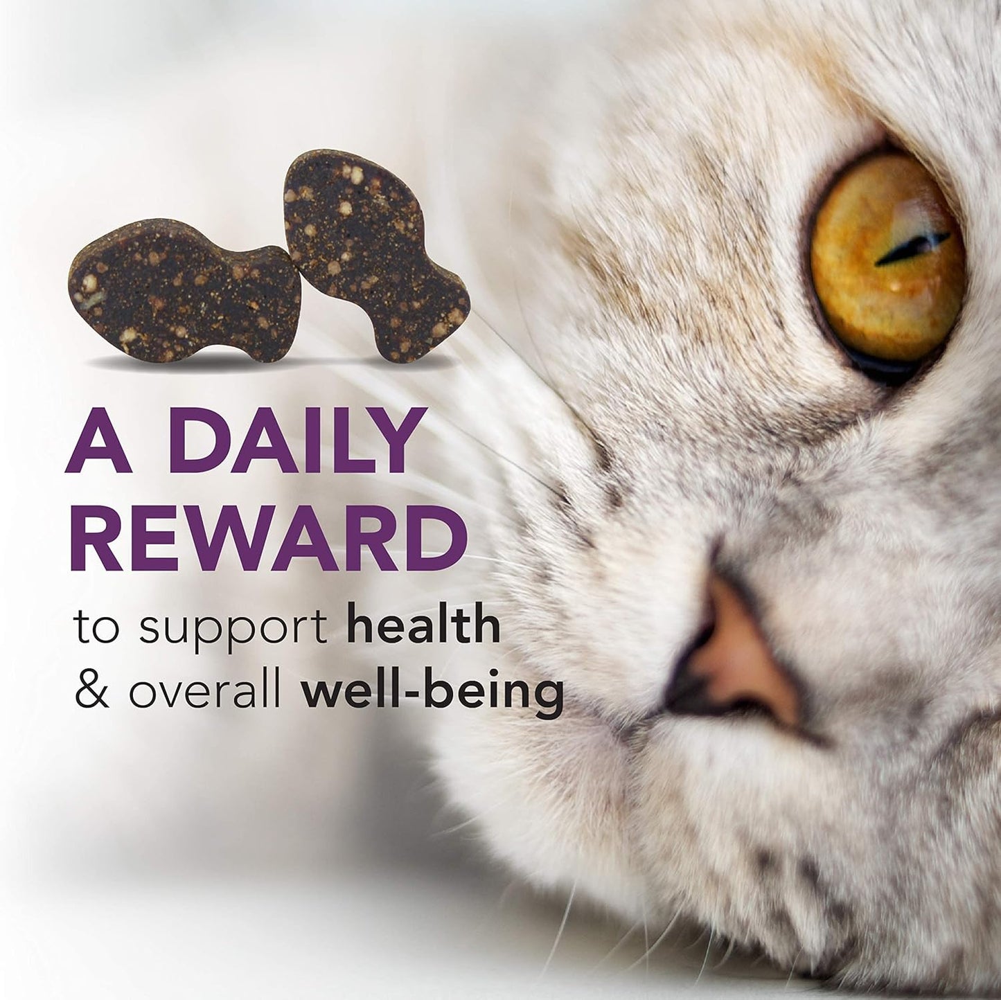 Immune Support Cat Supplement: VetriScience Vetri Lysine Plus Chews - 120 Count with L-Lysine and DMG for Respiratory Health