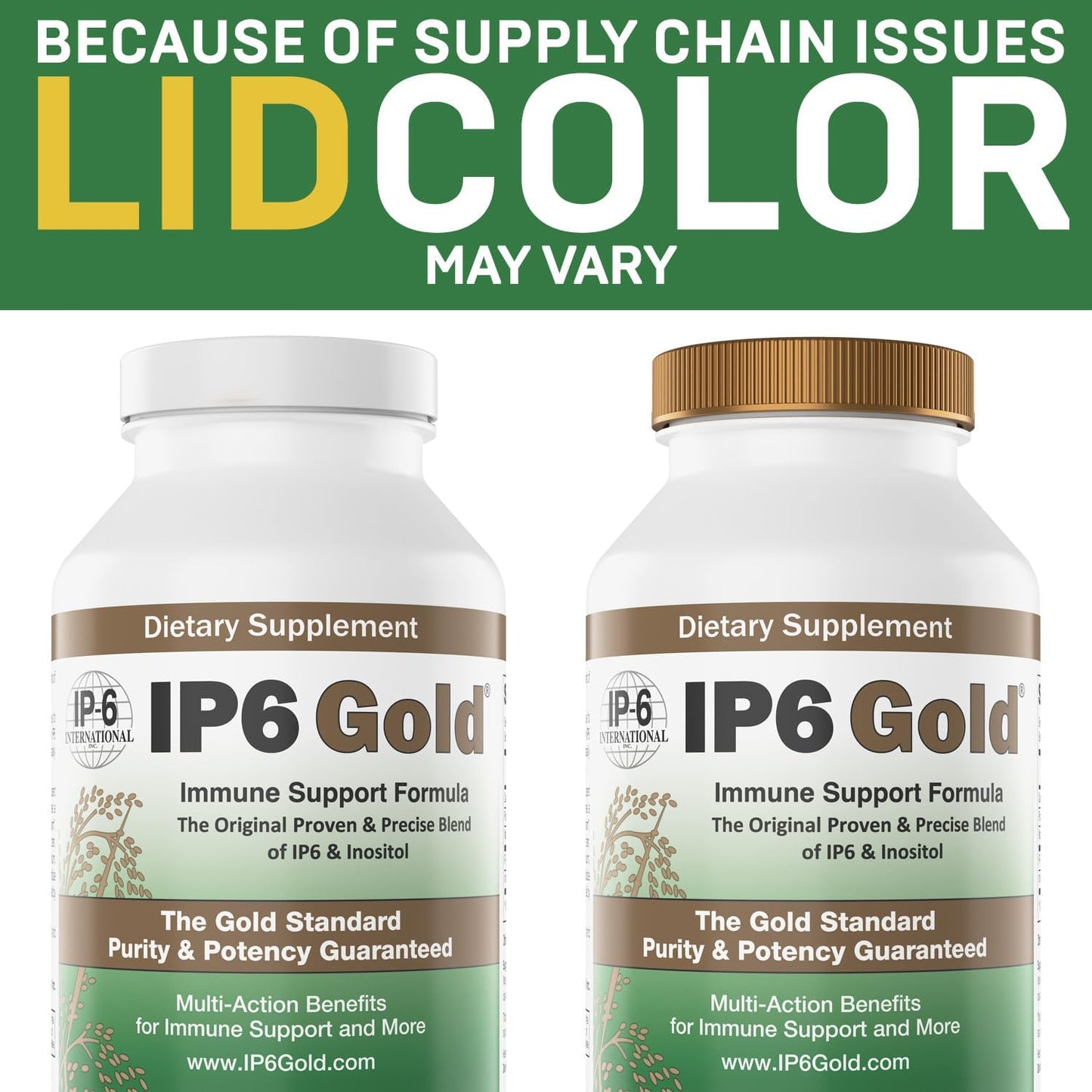 Immune Support Formula with IP6 Gold, 240 Vegetarian Capsules