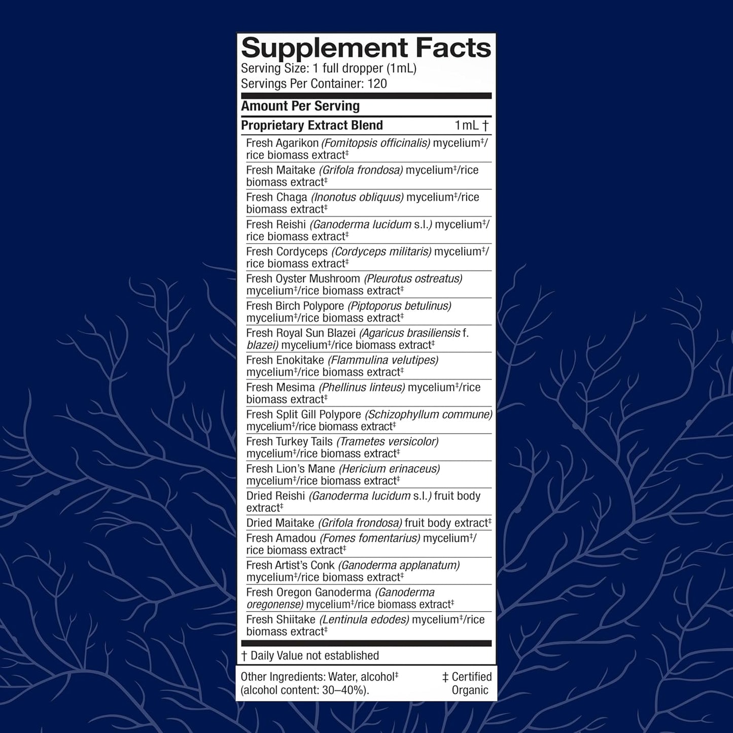 Immune Support Mushroom Extract - MyCommunity Blend with Lion's Mane, Reishi, Chaga, Cordyceps, Turkey Tail & More - 4 fl oz