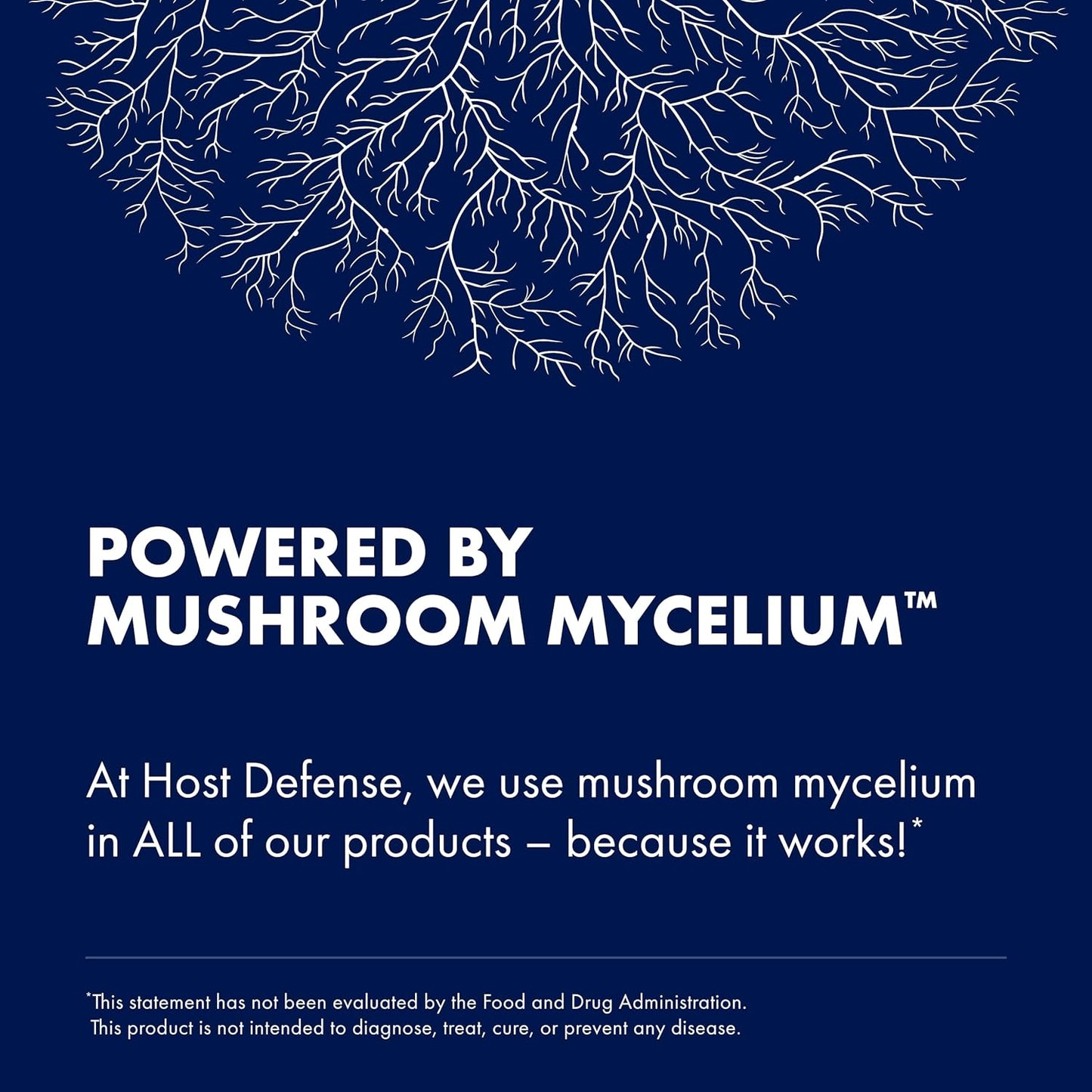 Immune Support Mushroom Extract - MyCommunity Blend with Lion's Mane, Reishi, Chaga, Cordyceps, Turkey Tail & More - 4 fl oz