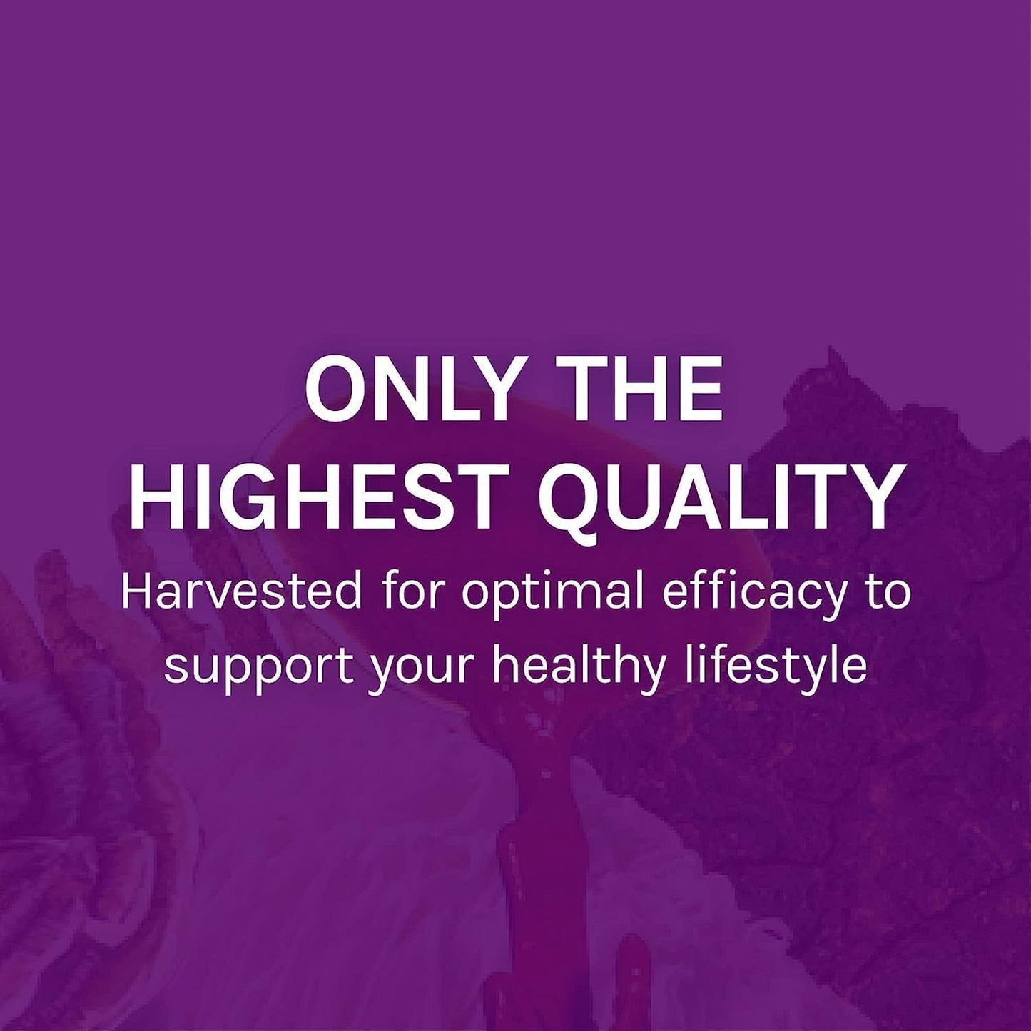 Immune Support Mushroom Extract - MyCommunity Blend with Lion's Mane, Reishi, Chaga, Cordyceps, Turkey Tail & More - 4 fl oz