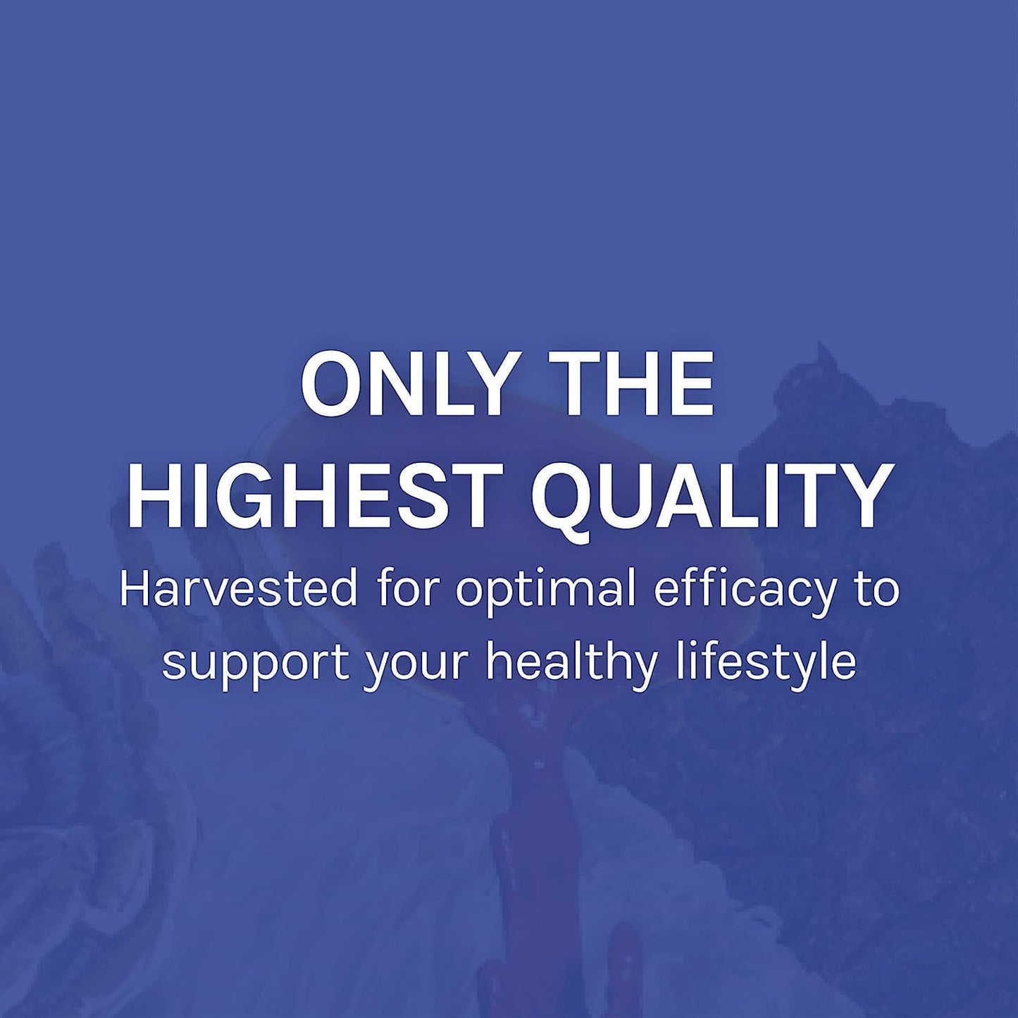 Immune Support Mushroom Supplement Blend with 7 Species - Host Defense Stamets 7 Extract - 2 fl oz