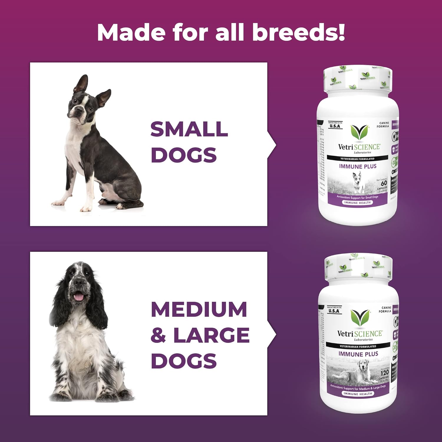 Immune Support Supplement for Small Dogs Under 30 Pounds - 60 Capsules - VetriScience Immune Plus - Allergy Support