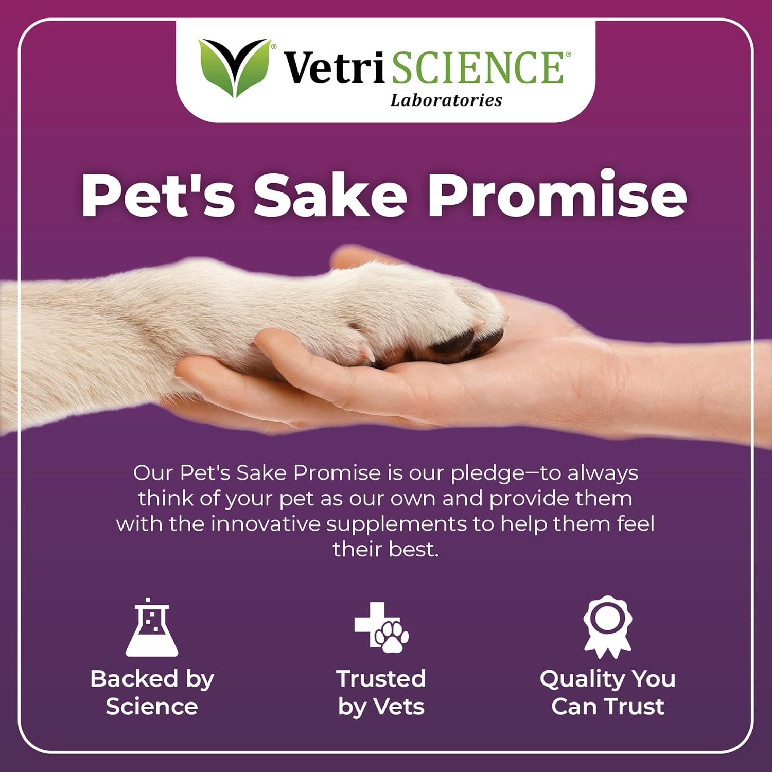 Immune Support Supplement for Small Dogs Under 30 Pounds - 60 Capsules - VetriScience Immune Plus - Allergy Support