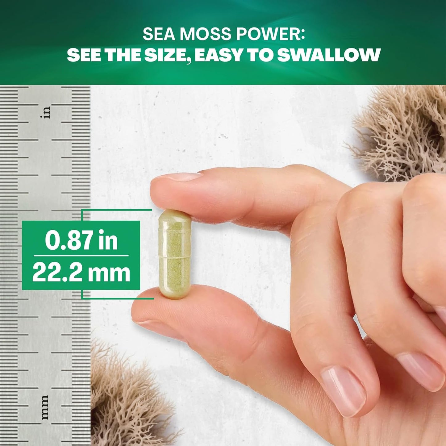 Immune Support Supplement with Sea Moss, Black Seed Oil, Ashwagandha, Turmeric, and Vitamin C - 120 Capsules