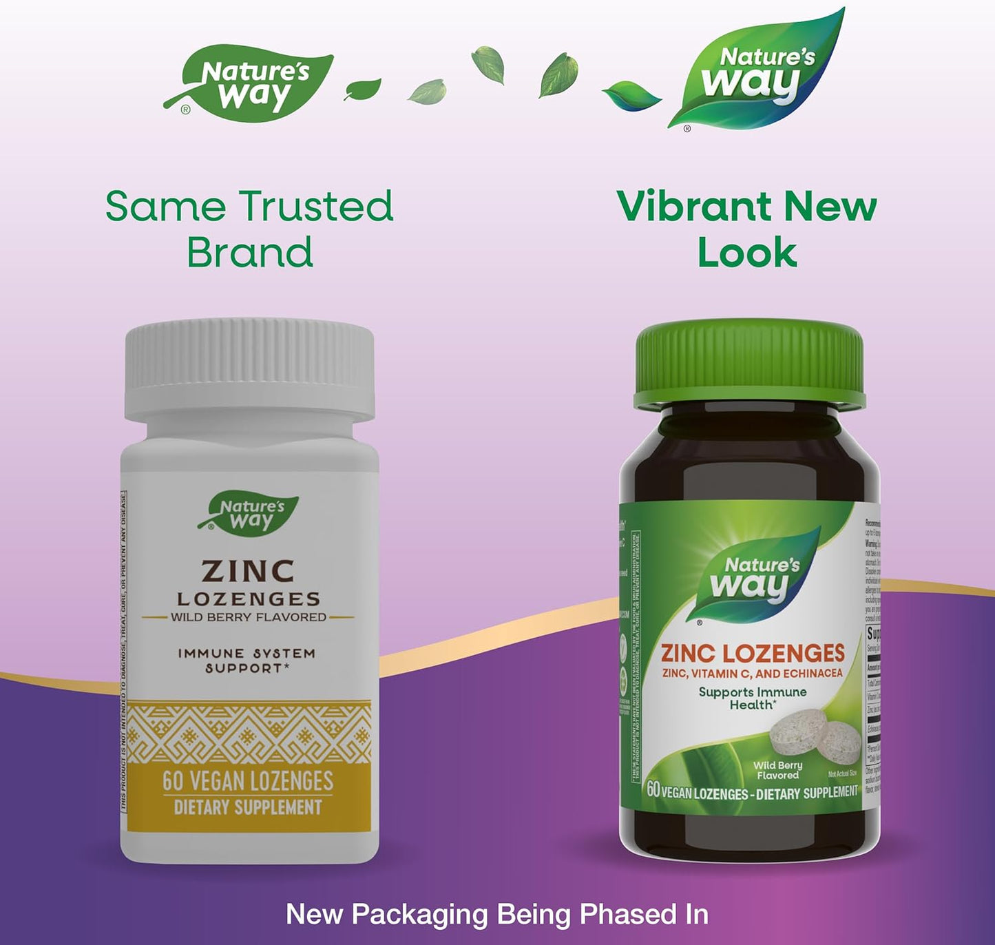 Immune Support Zinc Lozenges with Vitamin C and Echinacea, 60 Wild Berry Flavored Lozenges