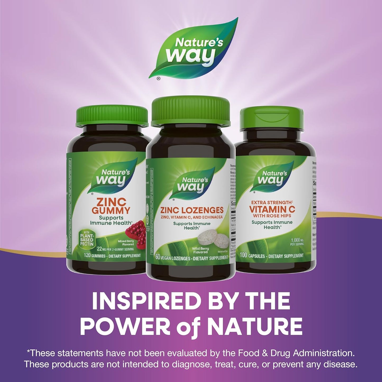 Immune Support Zinc Lozenges with Vitamin C and Echinacea, 60 Wild Berry Flavored Lozenges