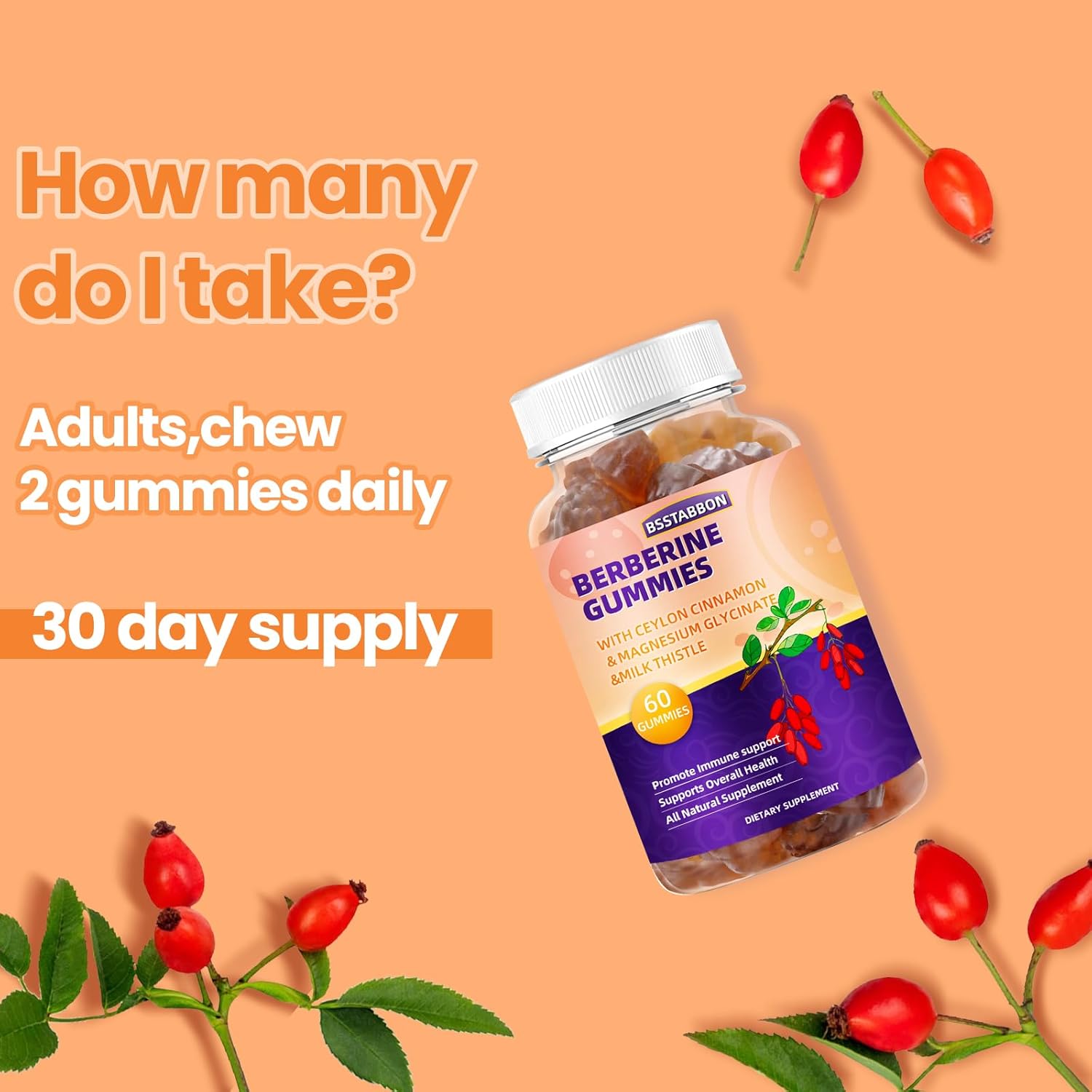 Immune System Support Berberine Gummies with Ceylon Cinnamon for Men and Women - 60 Gummies