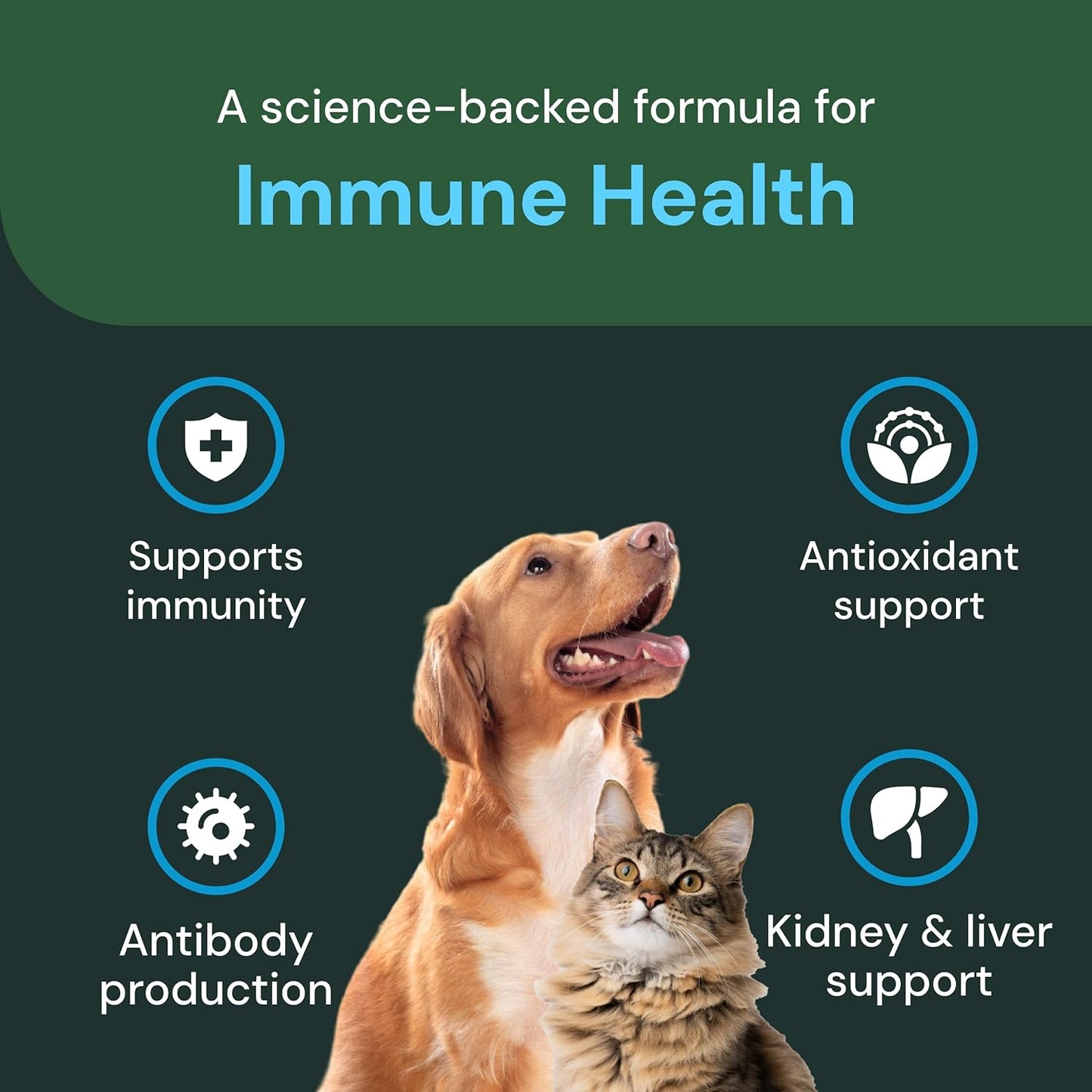 Immuno DMG Pro for Dogs & Cats - Liver & Kidney Health Support Chews - Boosts Antibody Production & Antioxidants - Pet Immune System Supplement