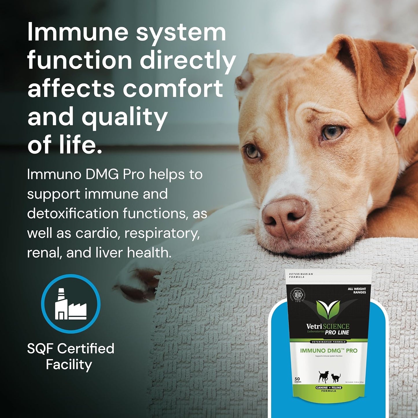 Immuno DMG Pro for Dogs & Cats - Liver & Kidney Health Support Chews - Boosts Antibody Production & Antioxidants - Pet Immune System Supplement
